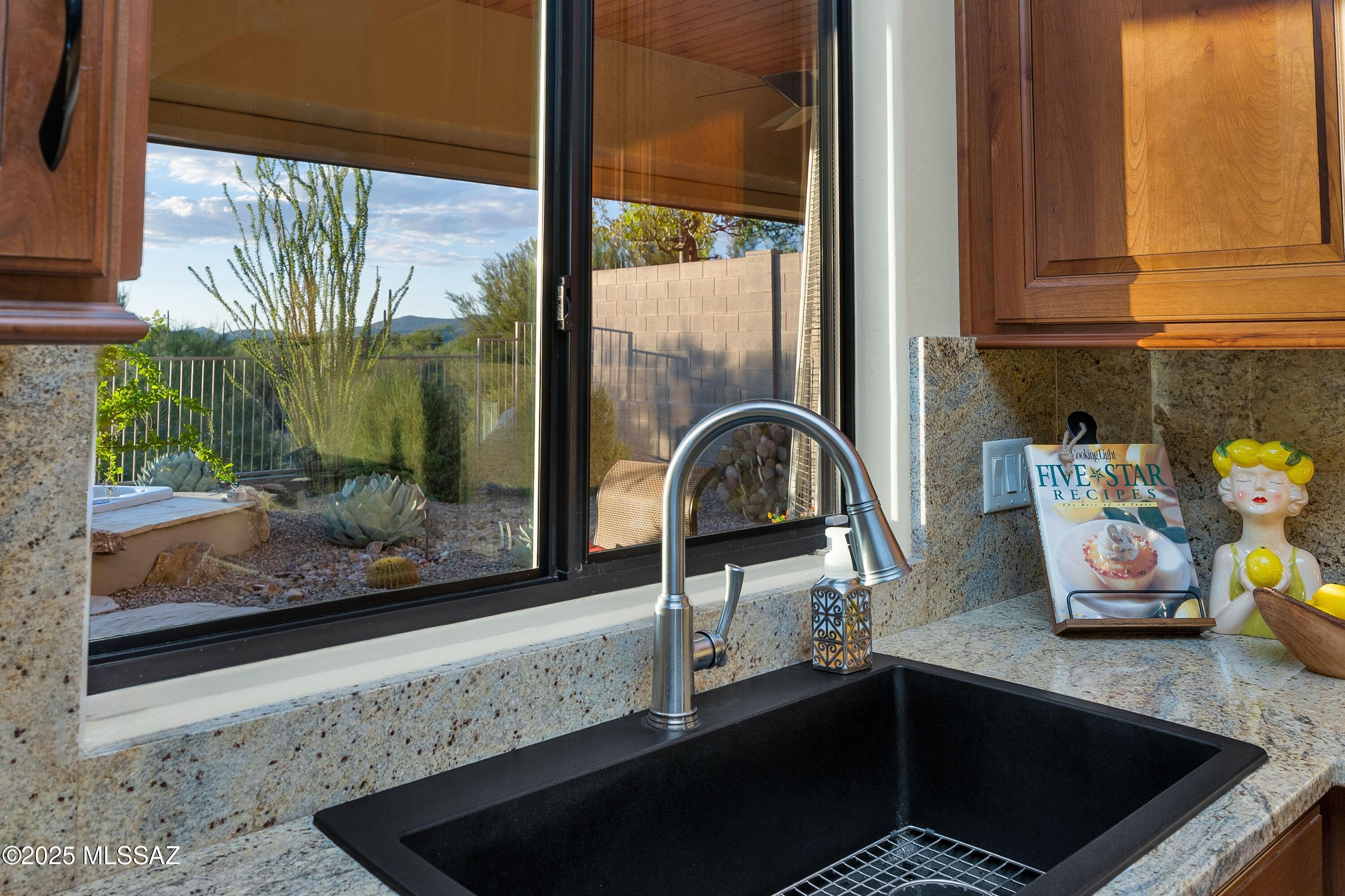 12433 N Golden Mirror Drive