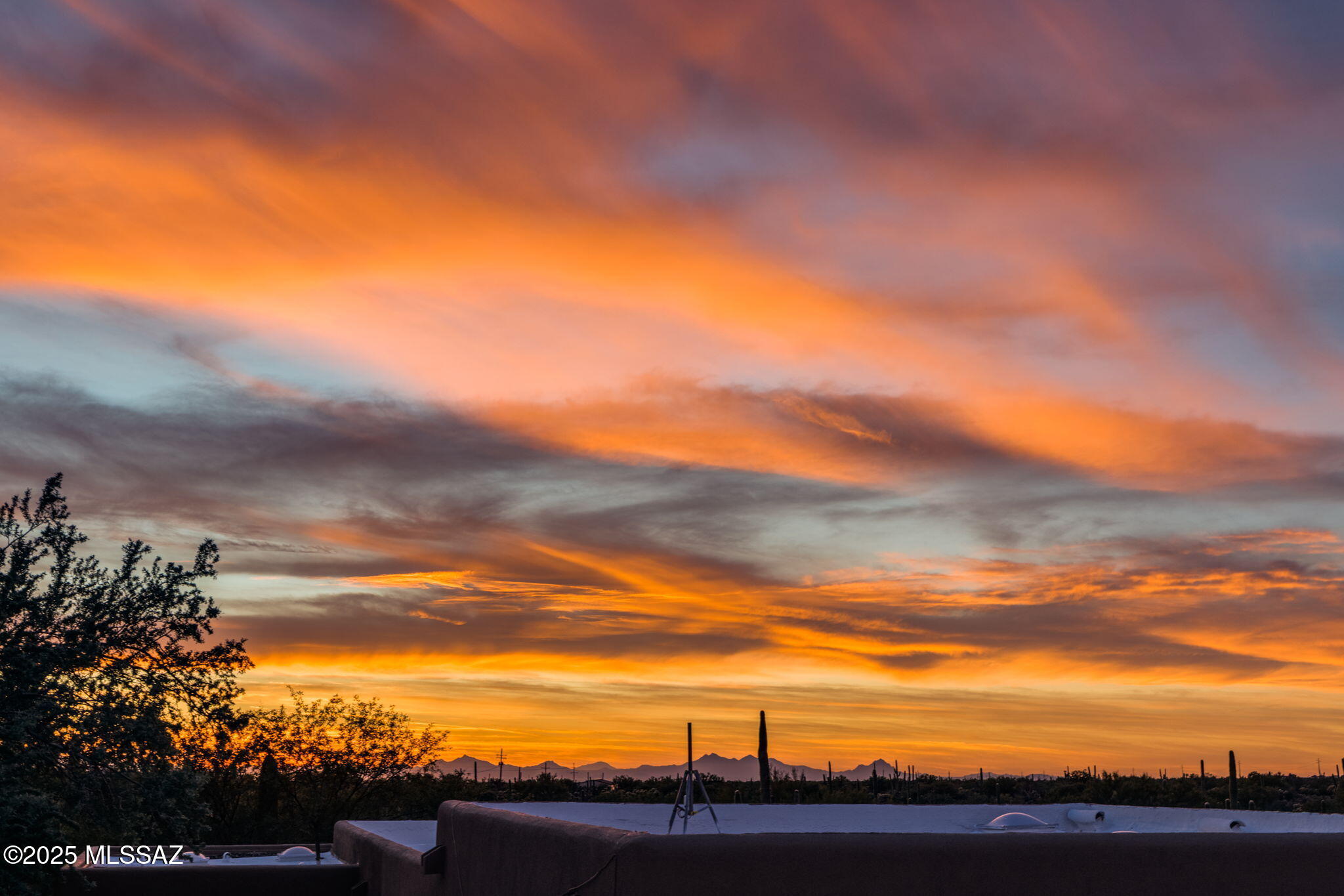 11735 N Vista Del Sol