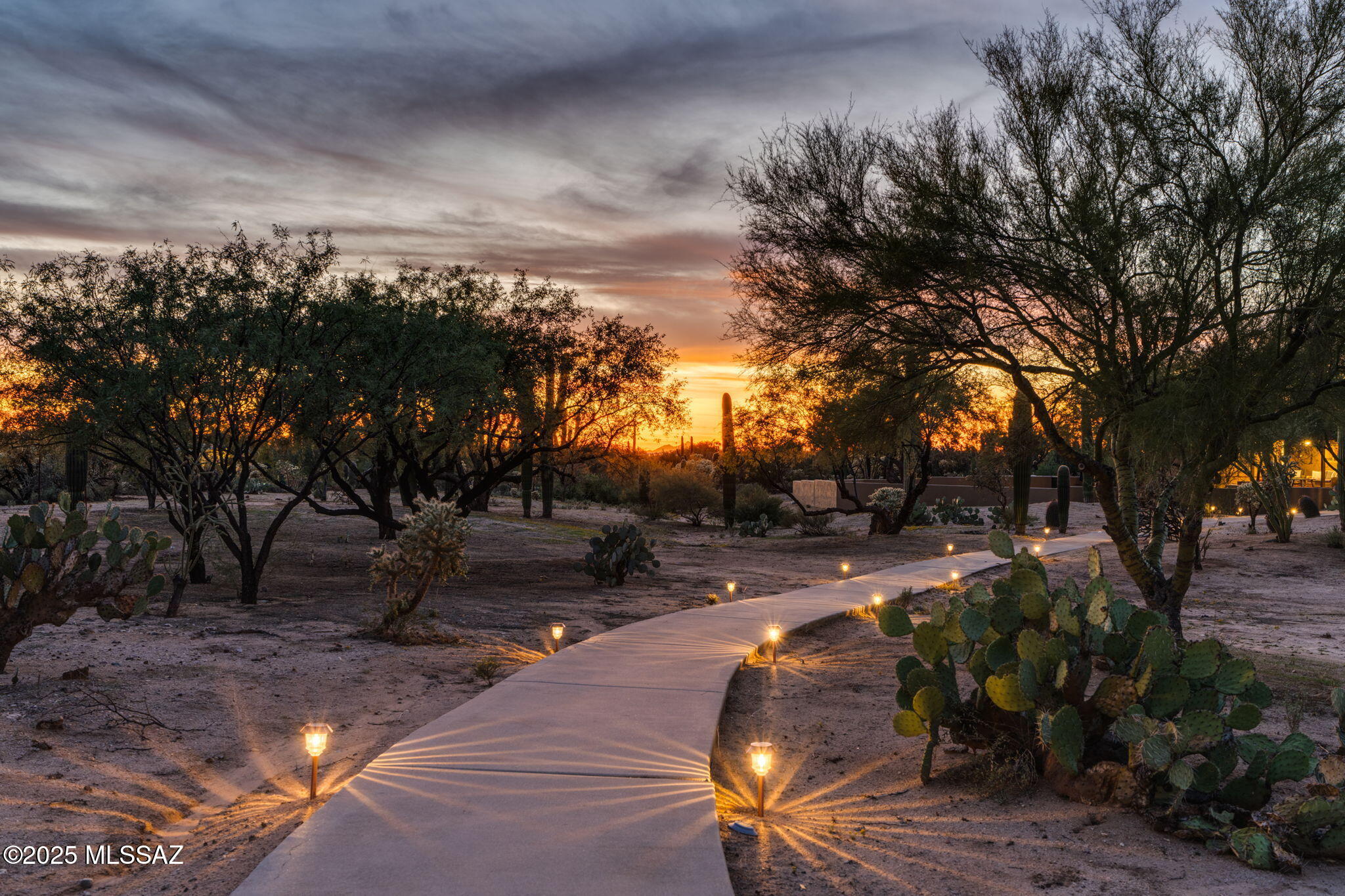 11735 N Vista Del Sol