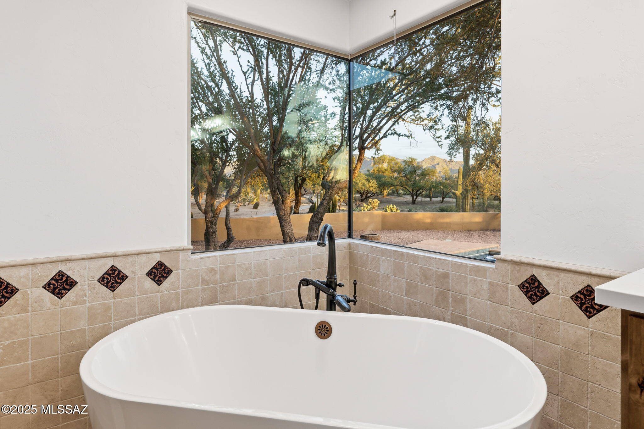 11735 N Vista Del Sol