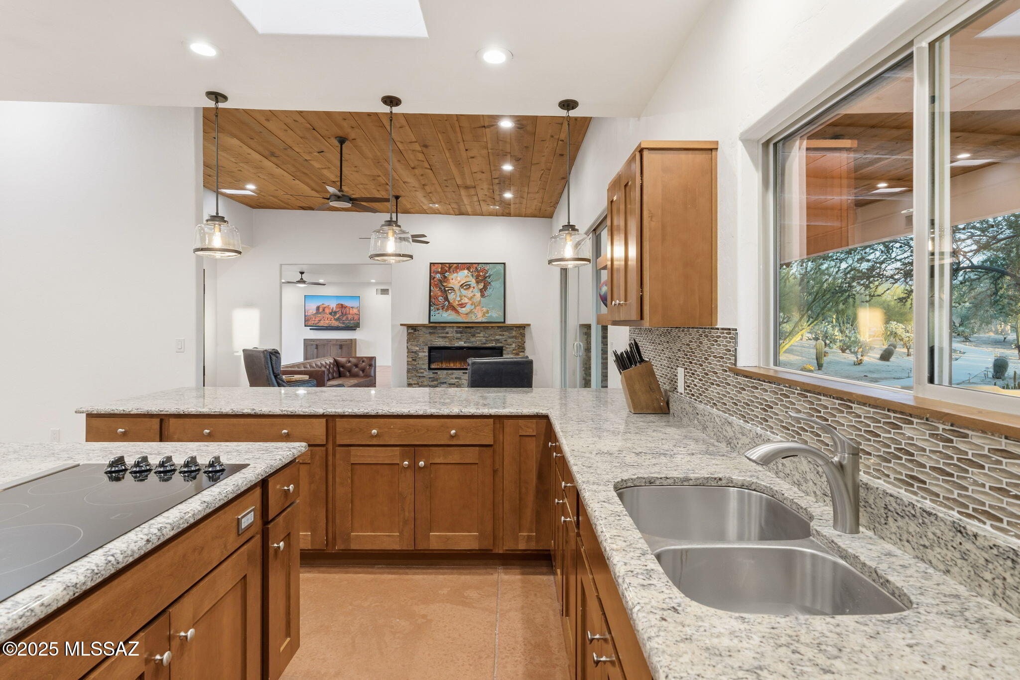 11735 N Vista Del Sol