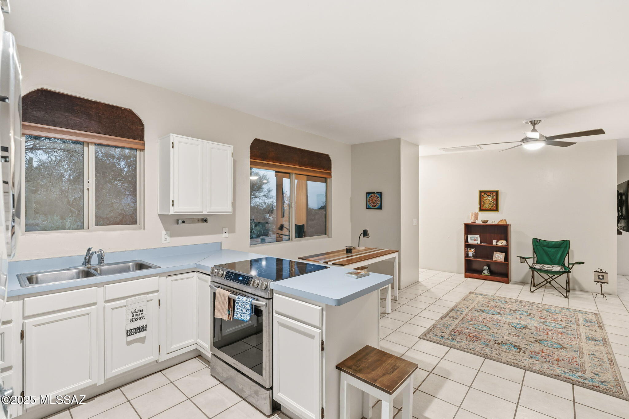 11735 N Vista Del Sol