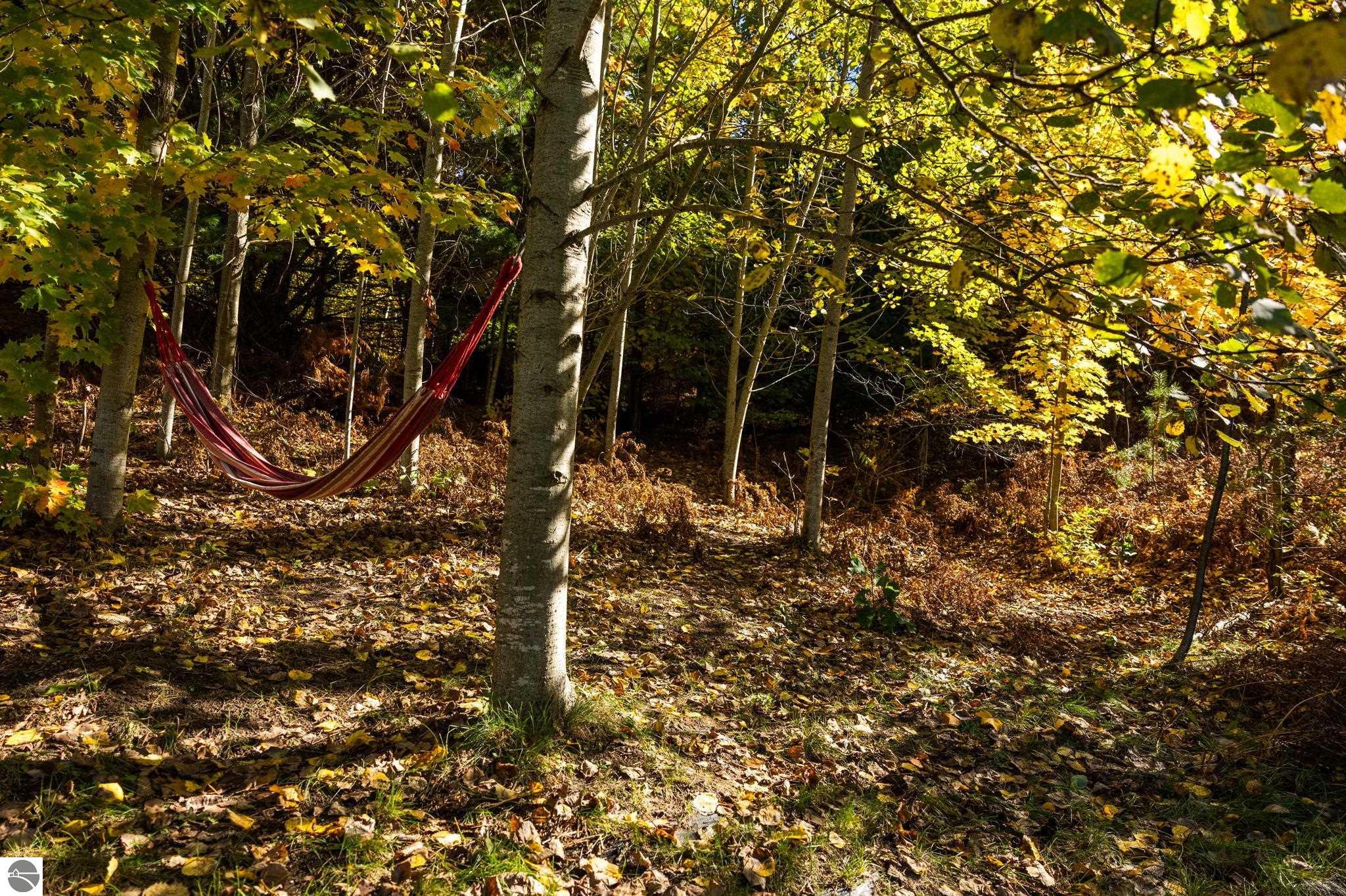 7297 Whispering Hills