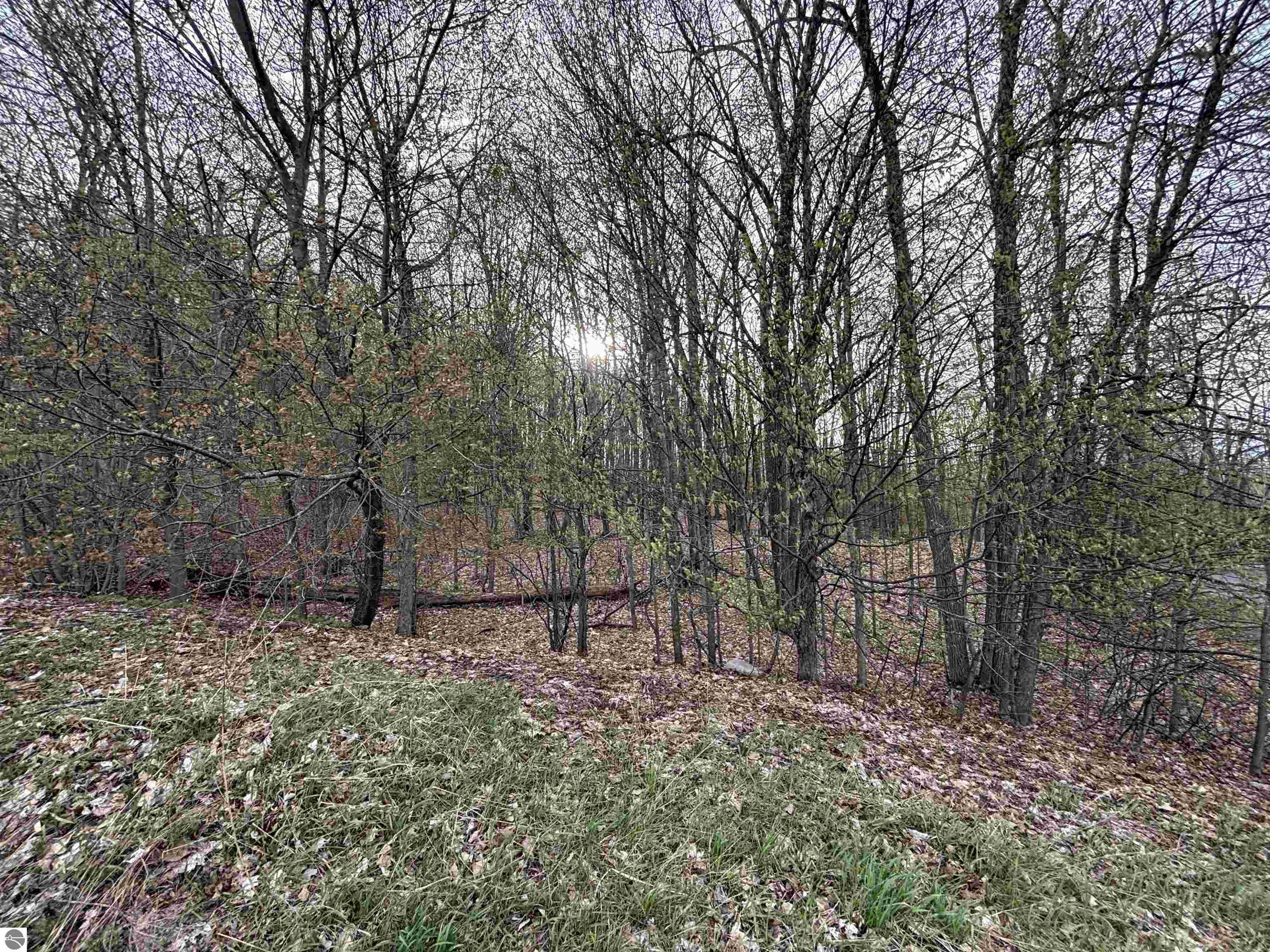 S Snow Crest Court