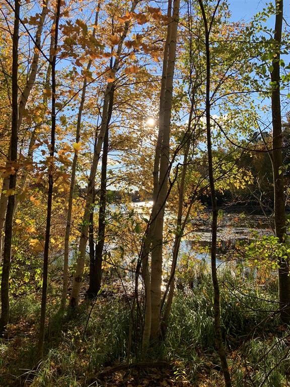 0 E Silver Lake Road