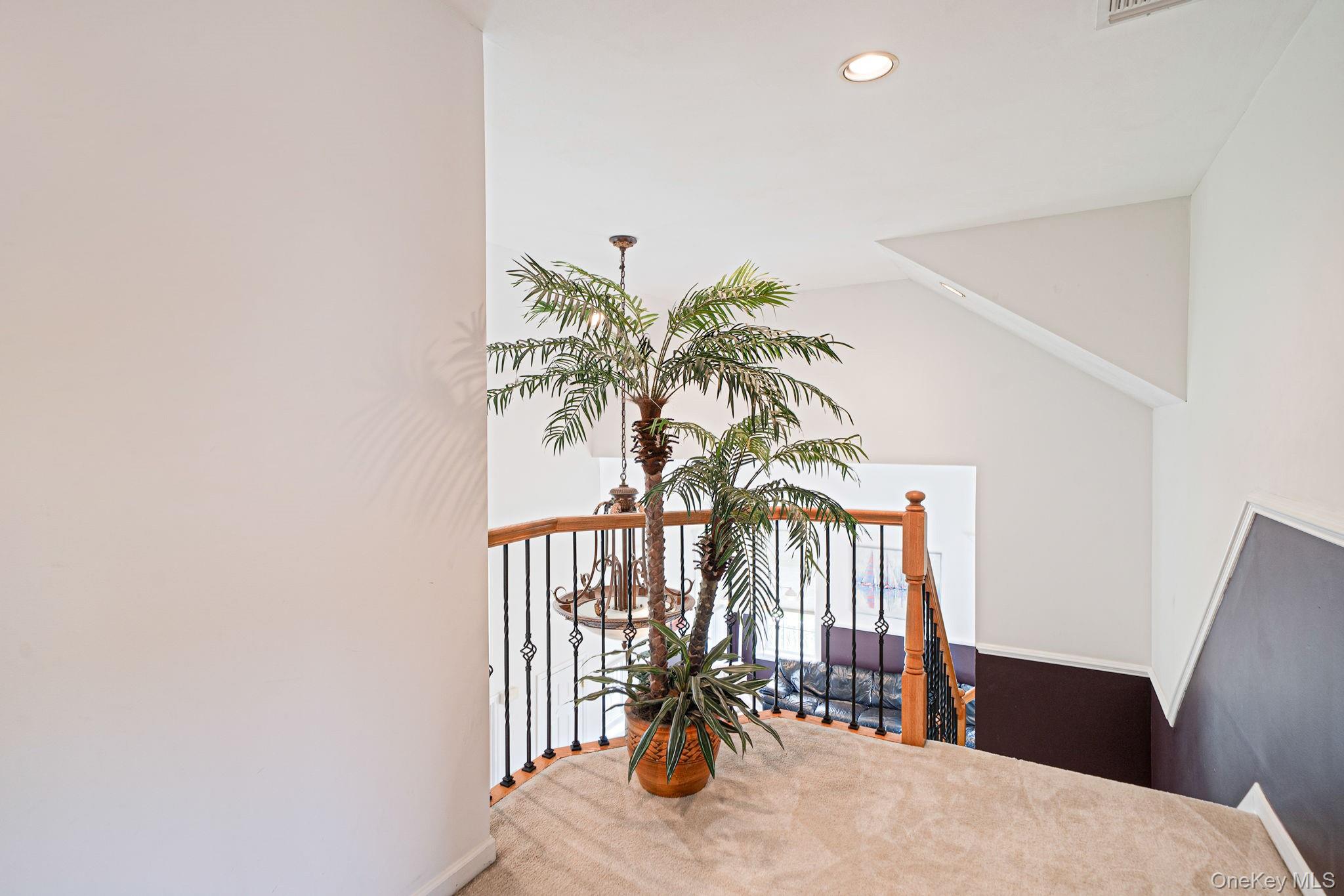 6 Westover Court