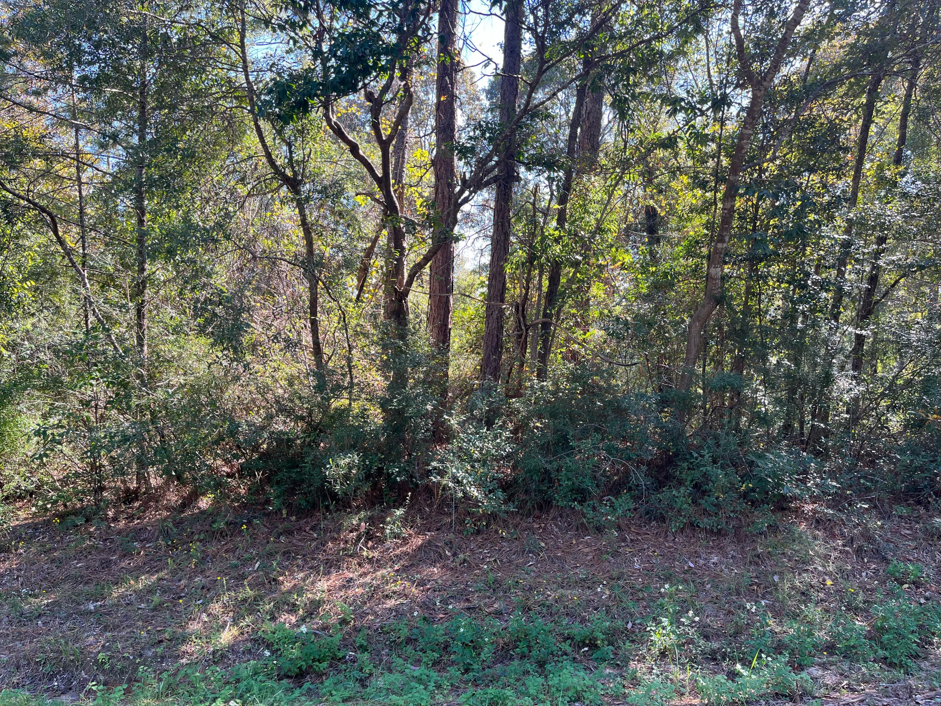 105 Flintlock Dr.