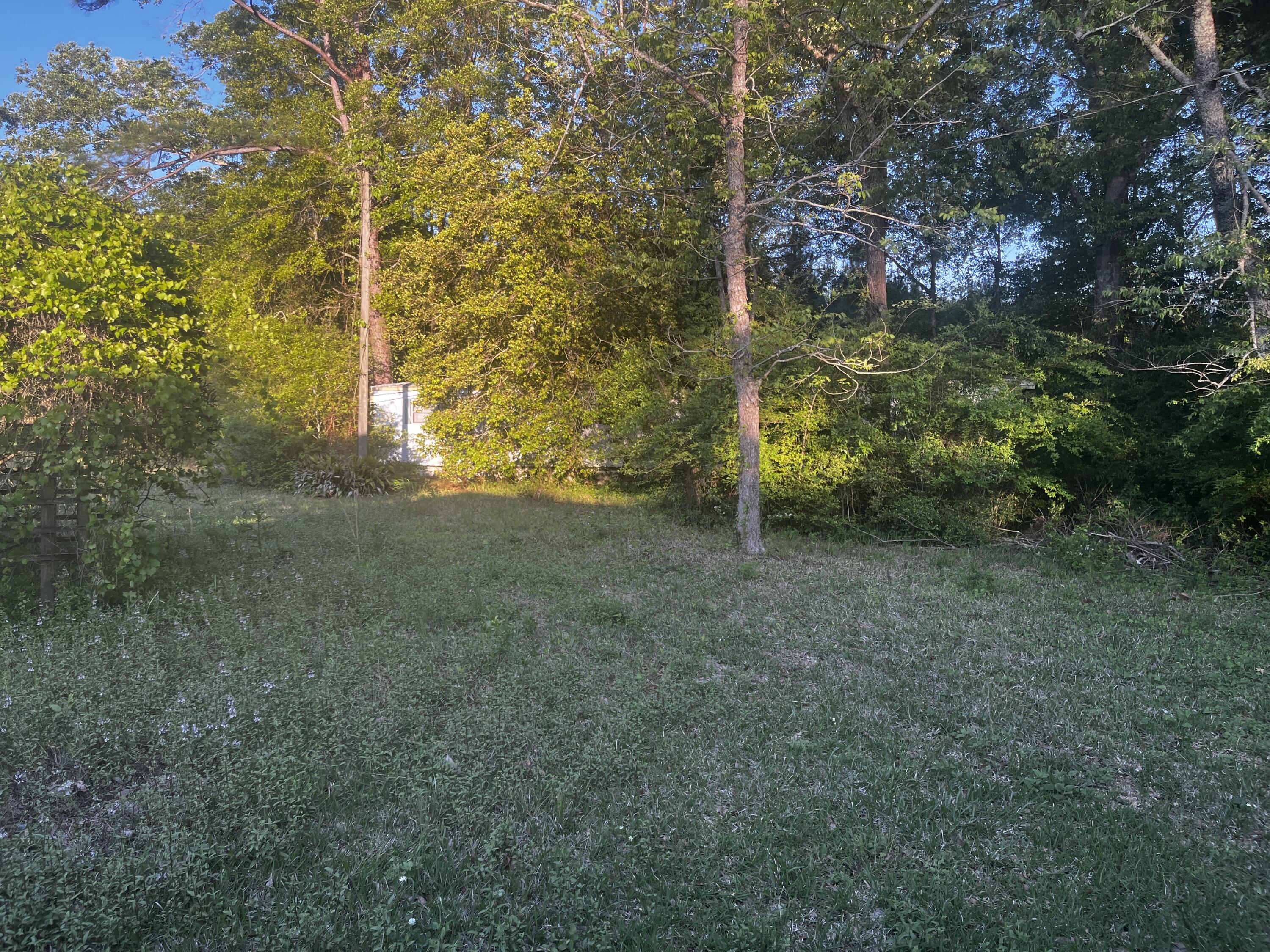 81 Gulledge Dr.
