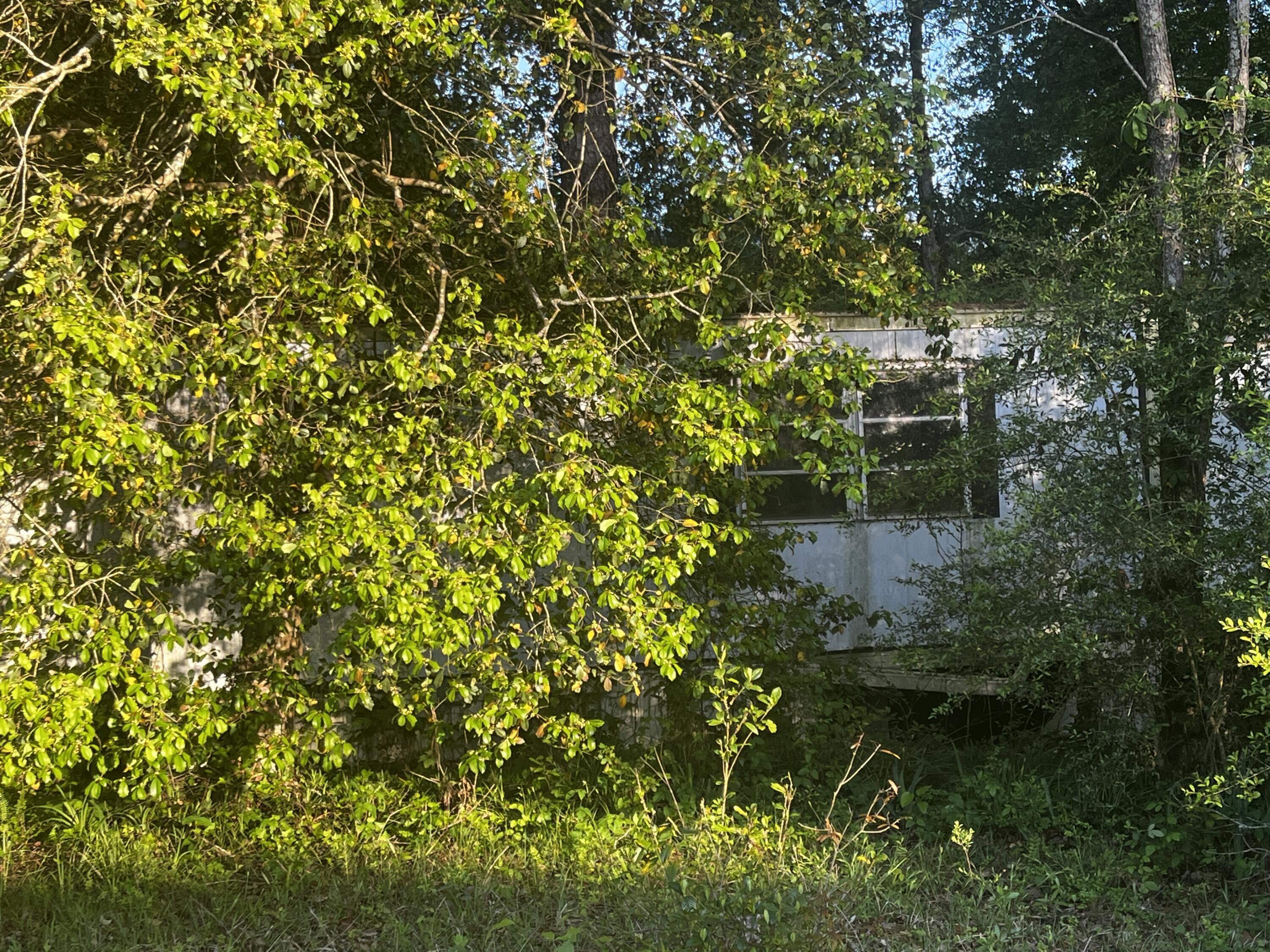 81 Gulledge Dr.