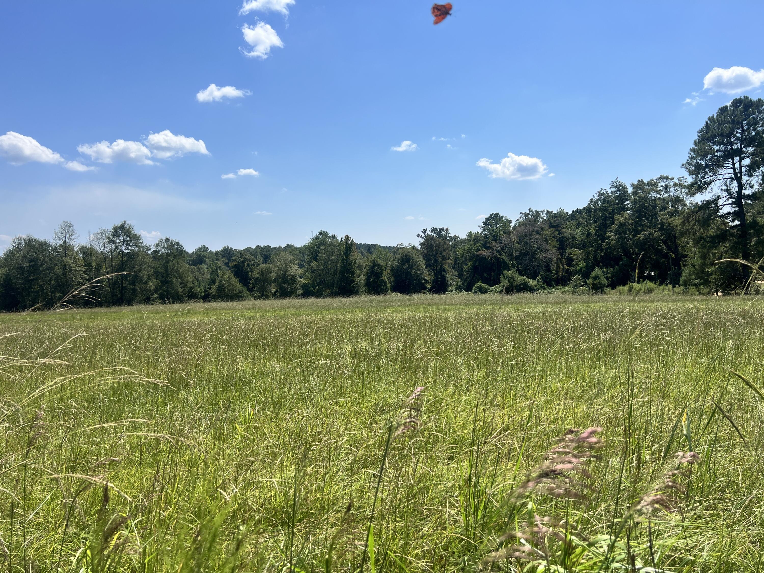 0 Hartfield Rd., Petal