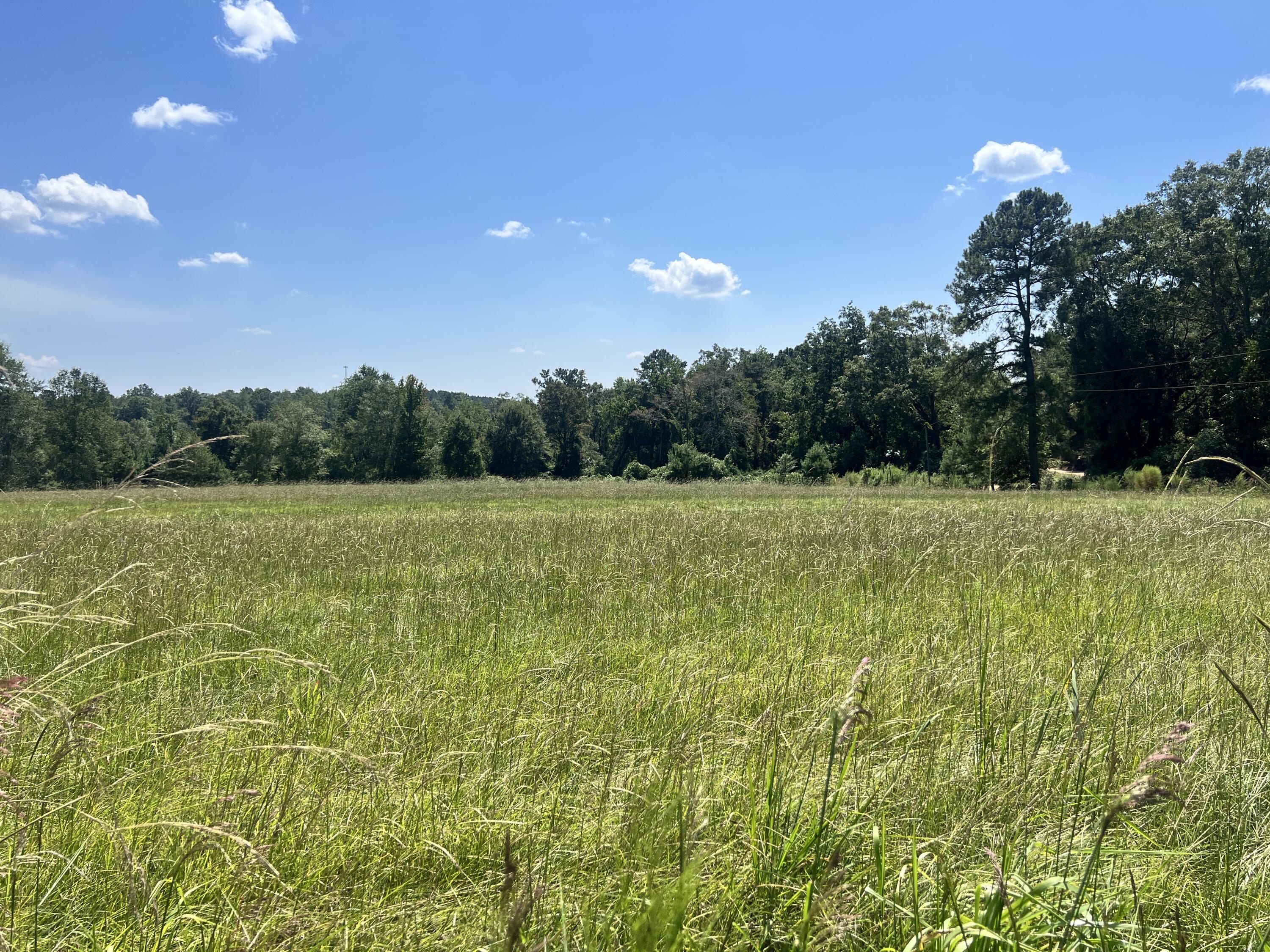0 Hartfield Rd., Petal