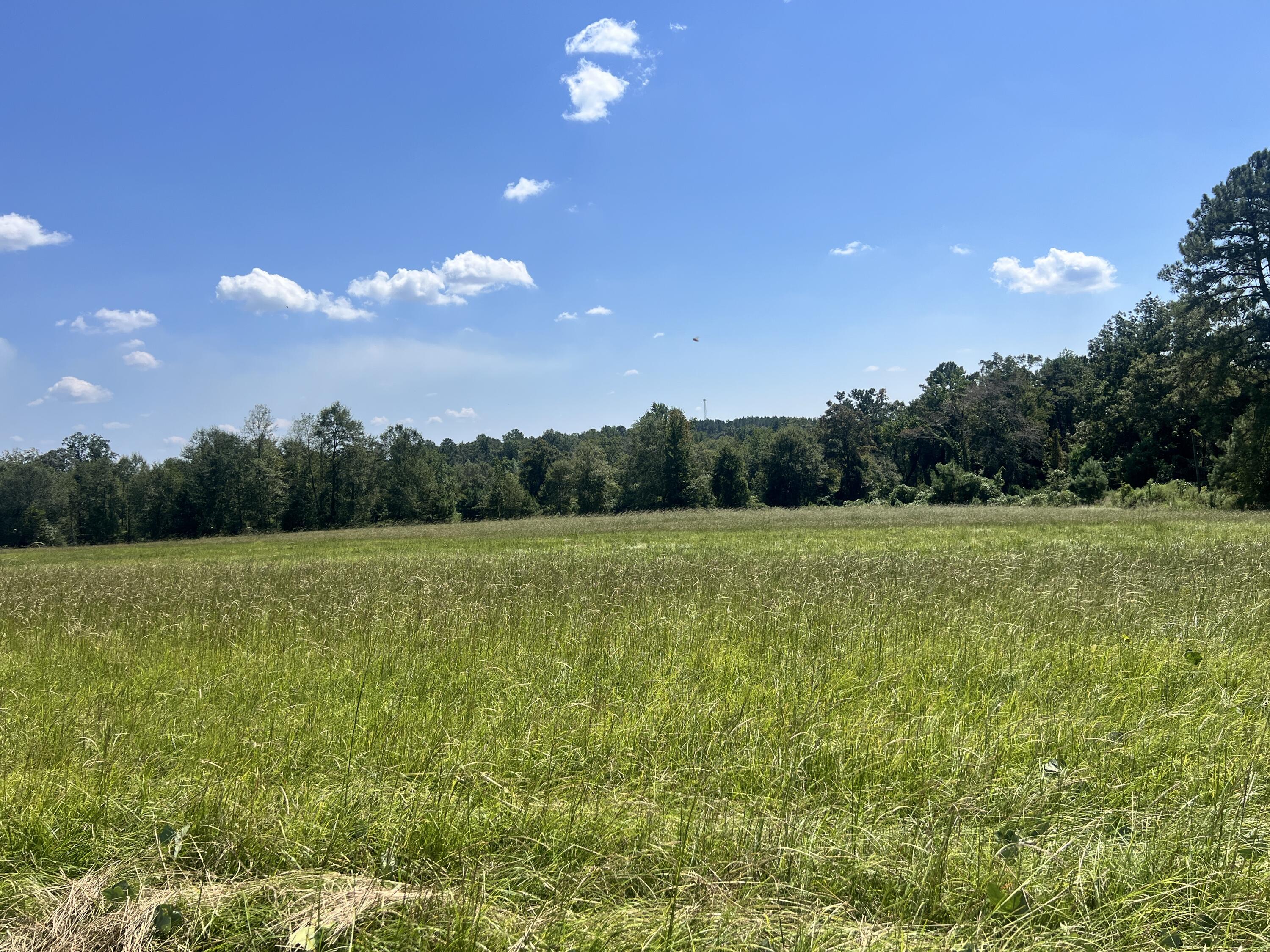 0 Hartfield Rd., Petal