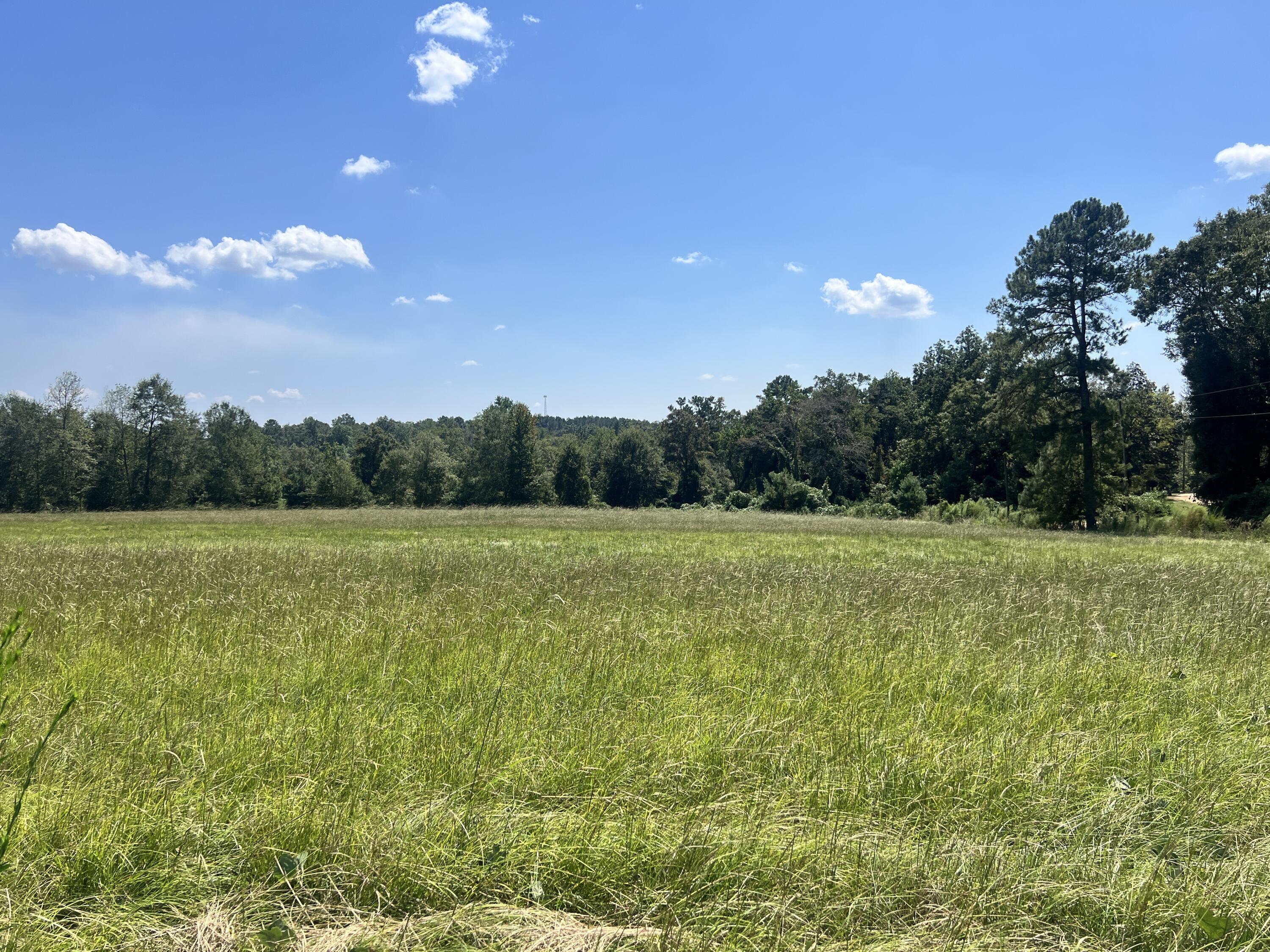 0 Hartfield Rd., Petal