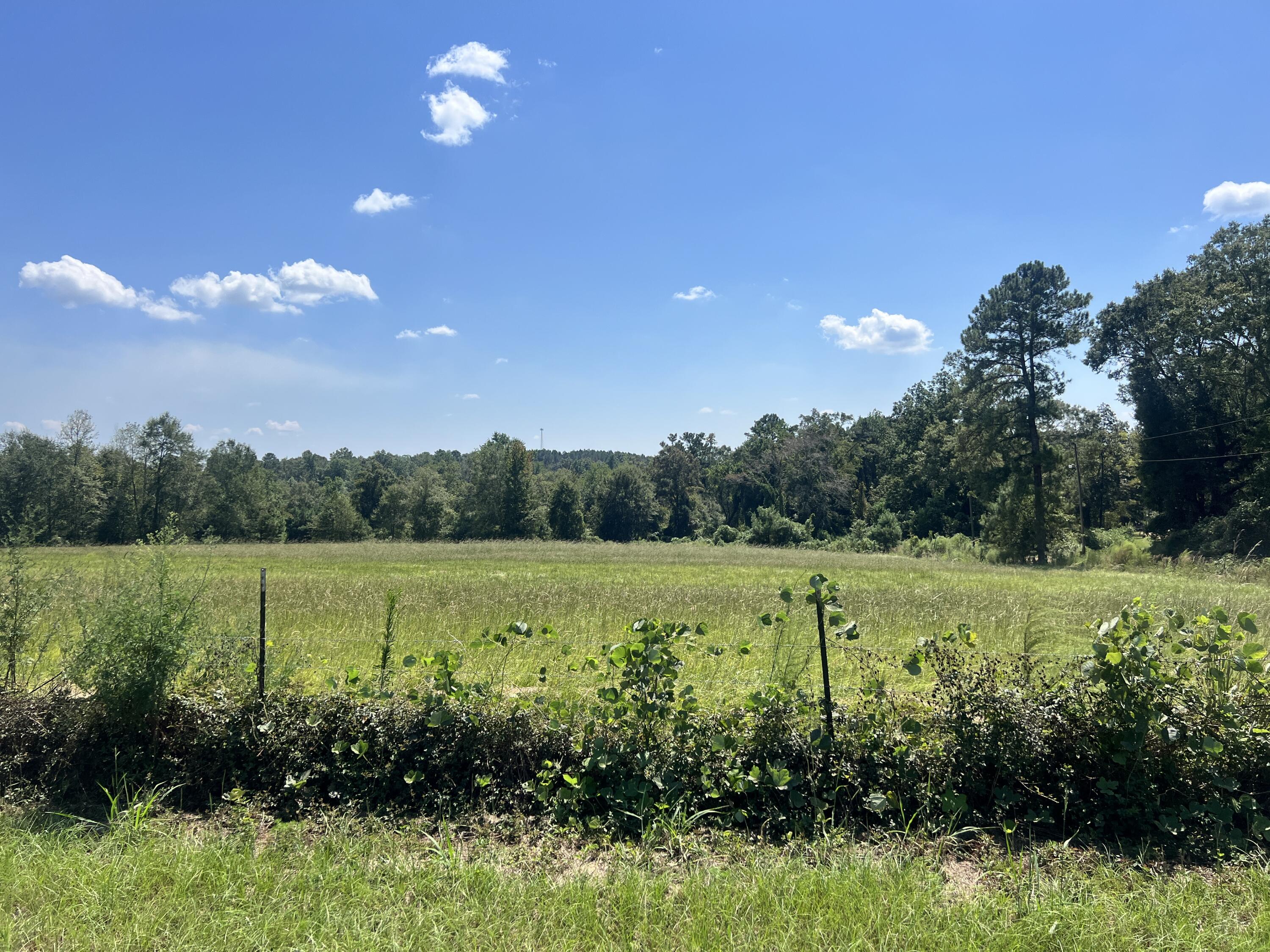 0 Hartfield Rd., Petal