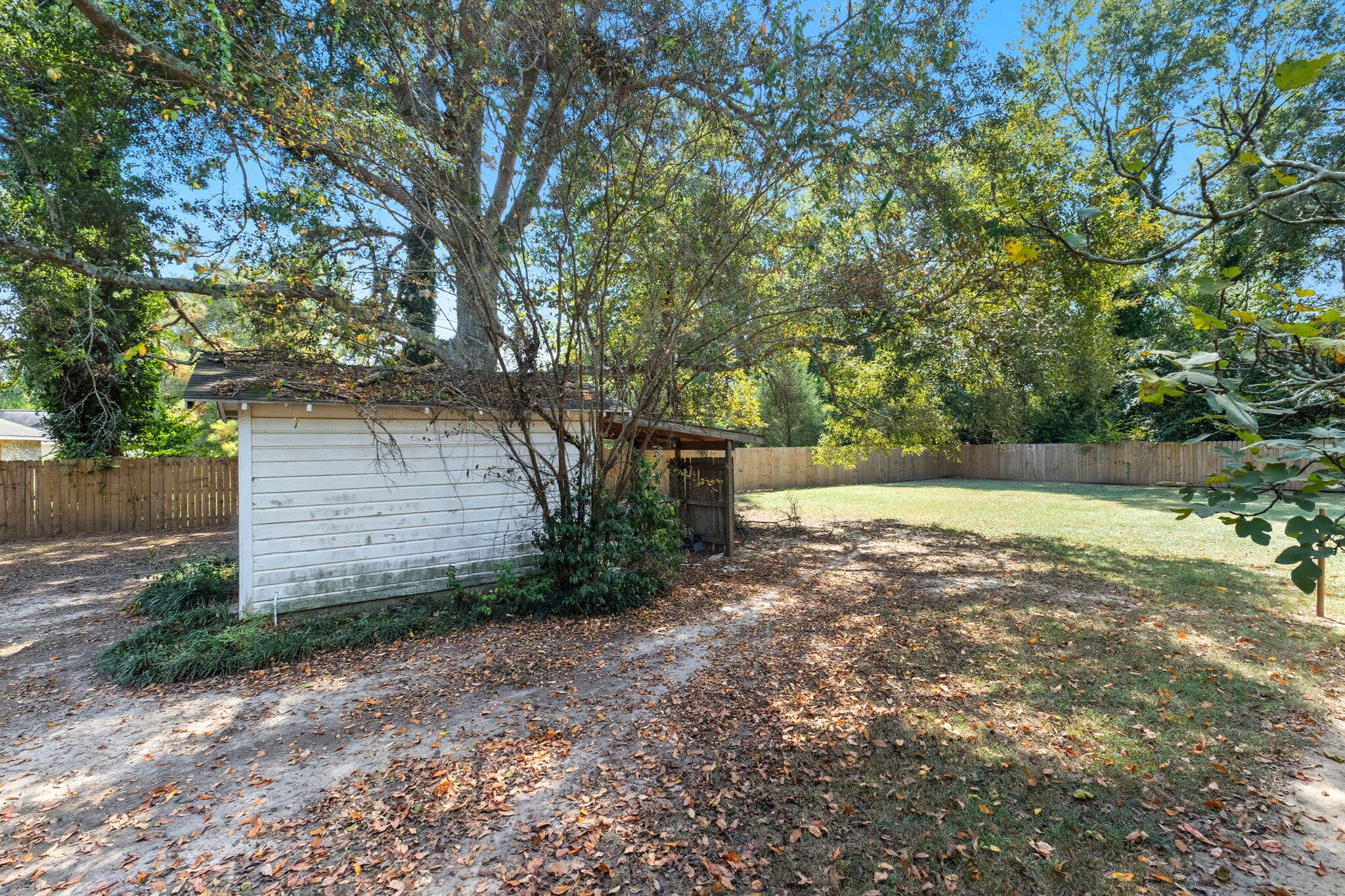 803 Mildred St.