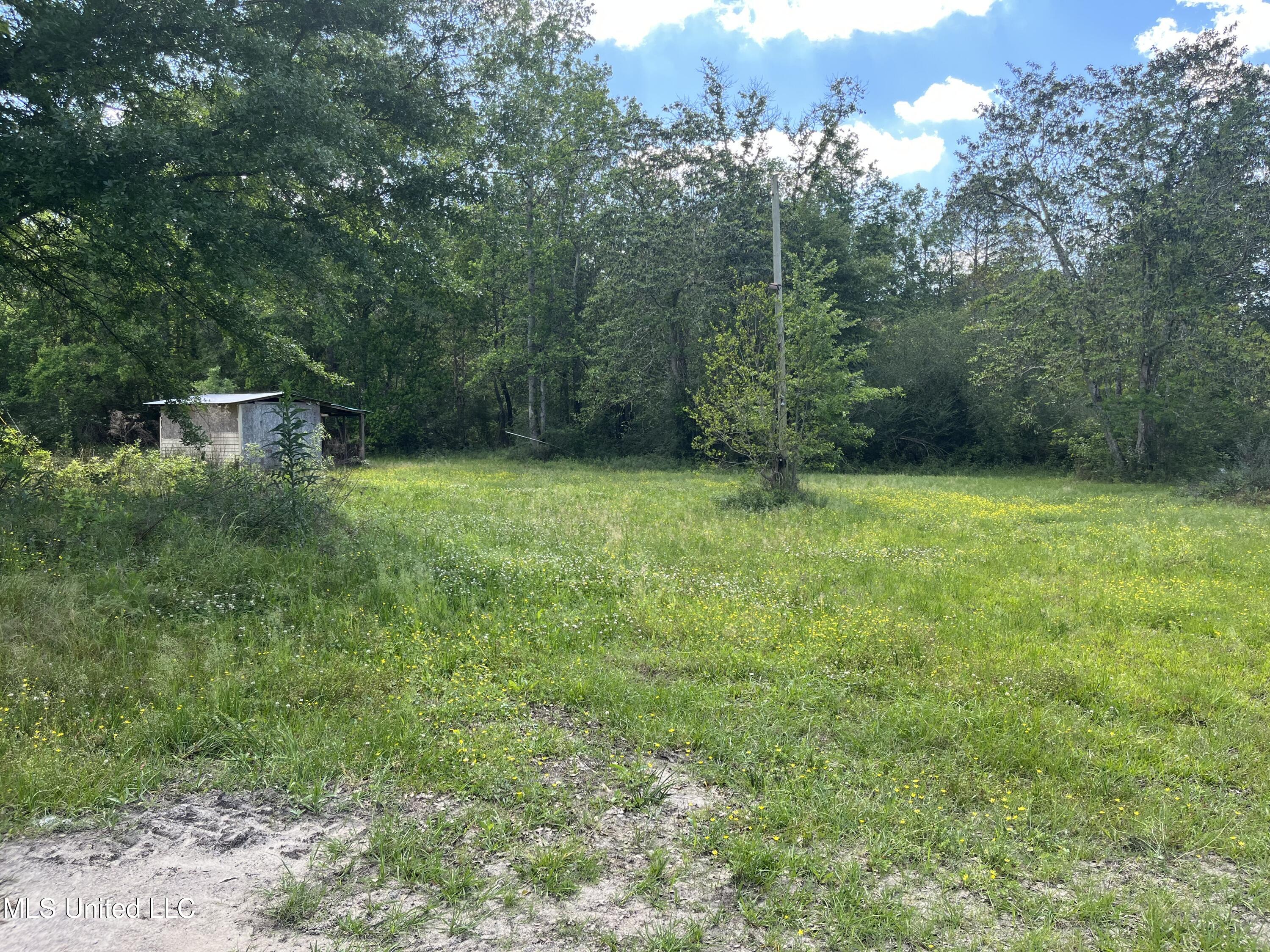 216 George Mitchell Road