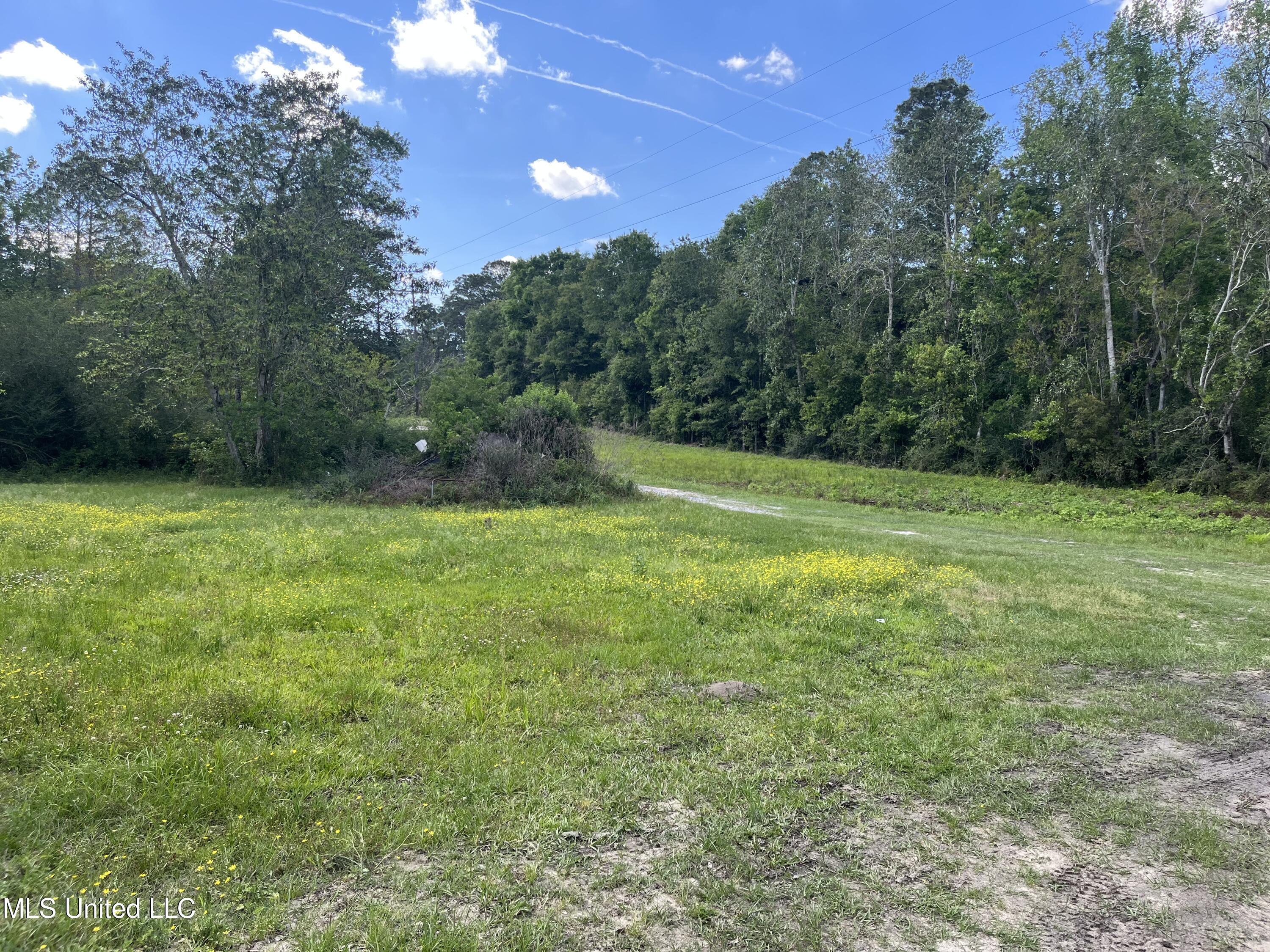 216 George Mitchell Road