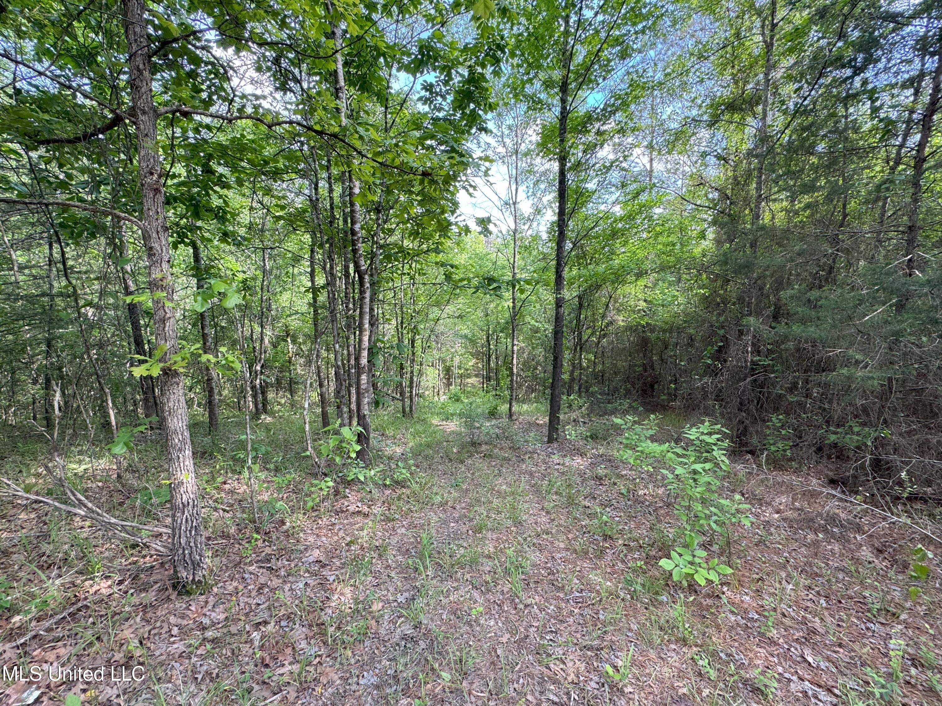 485 Sweet Home Road