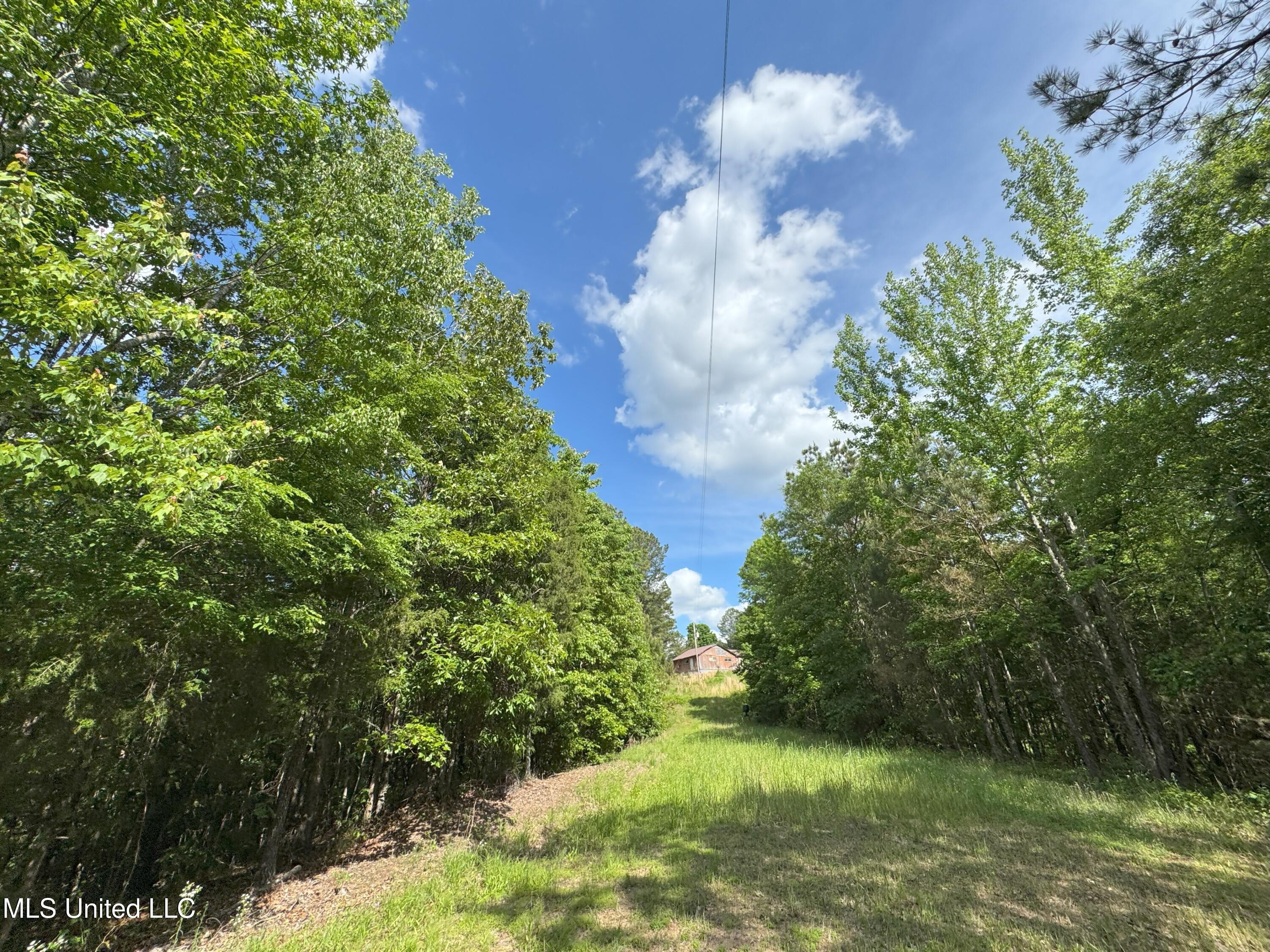 485 Sweet Home Road