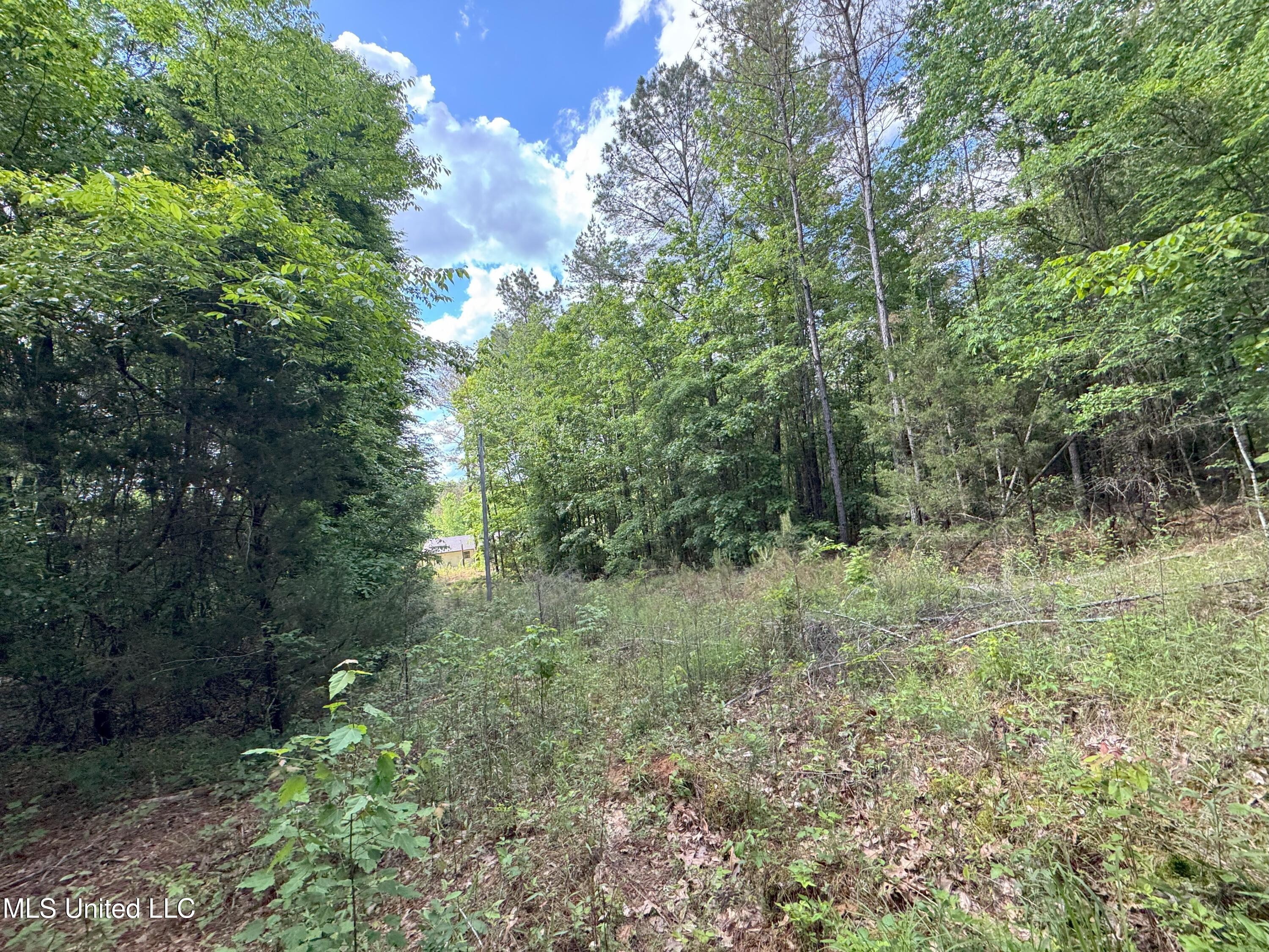 485 Sweet Home Road