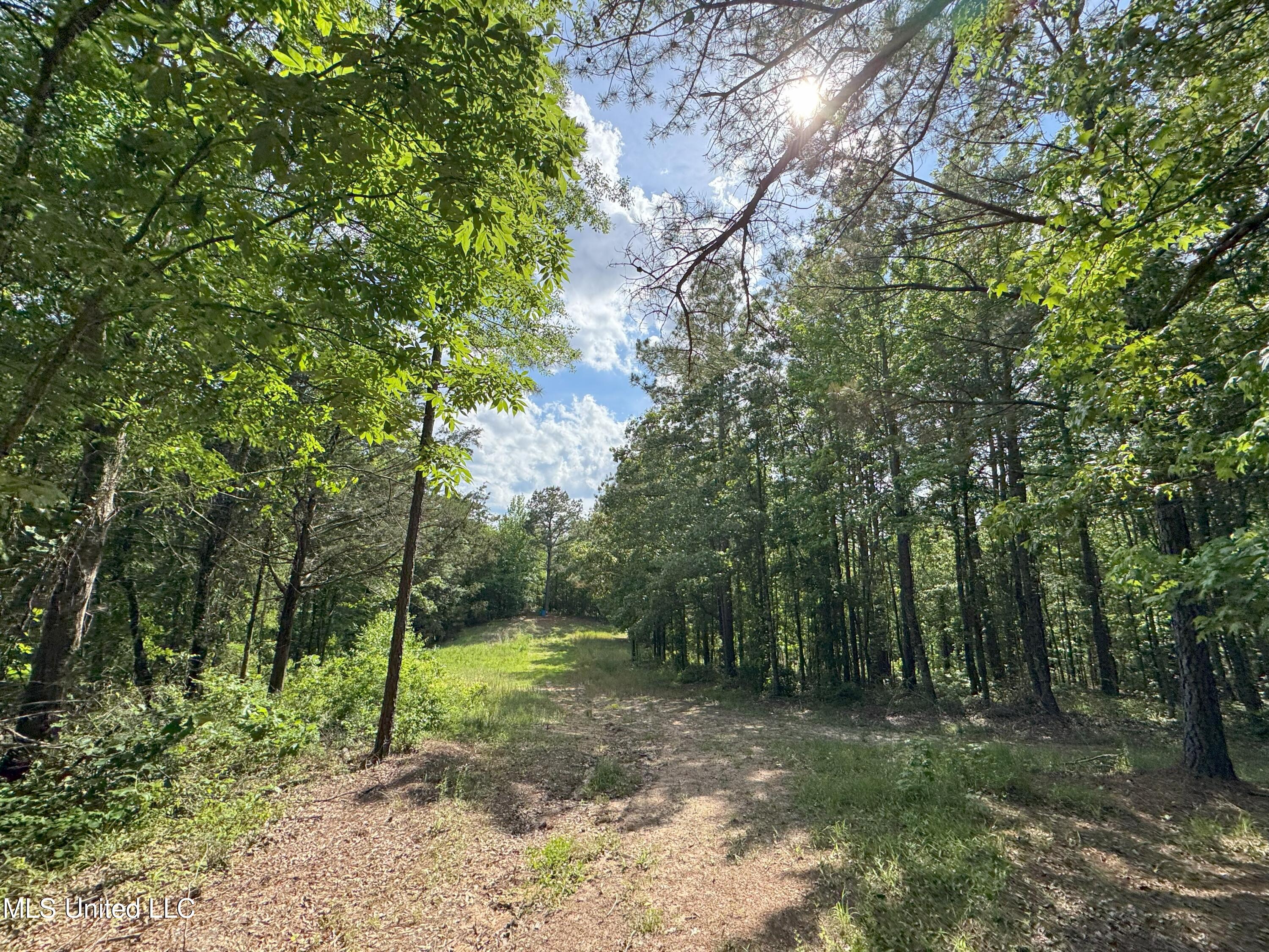 485 Sweet Home Road
