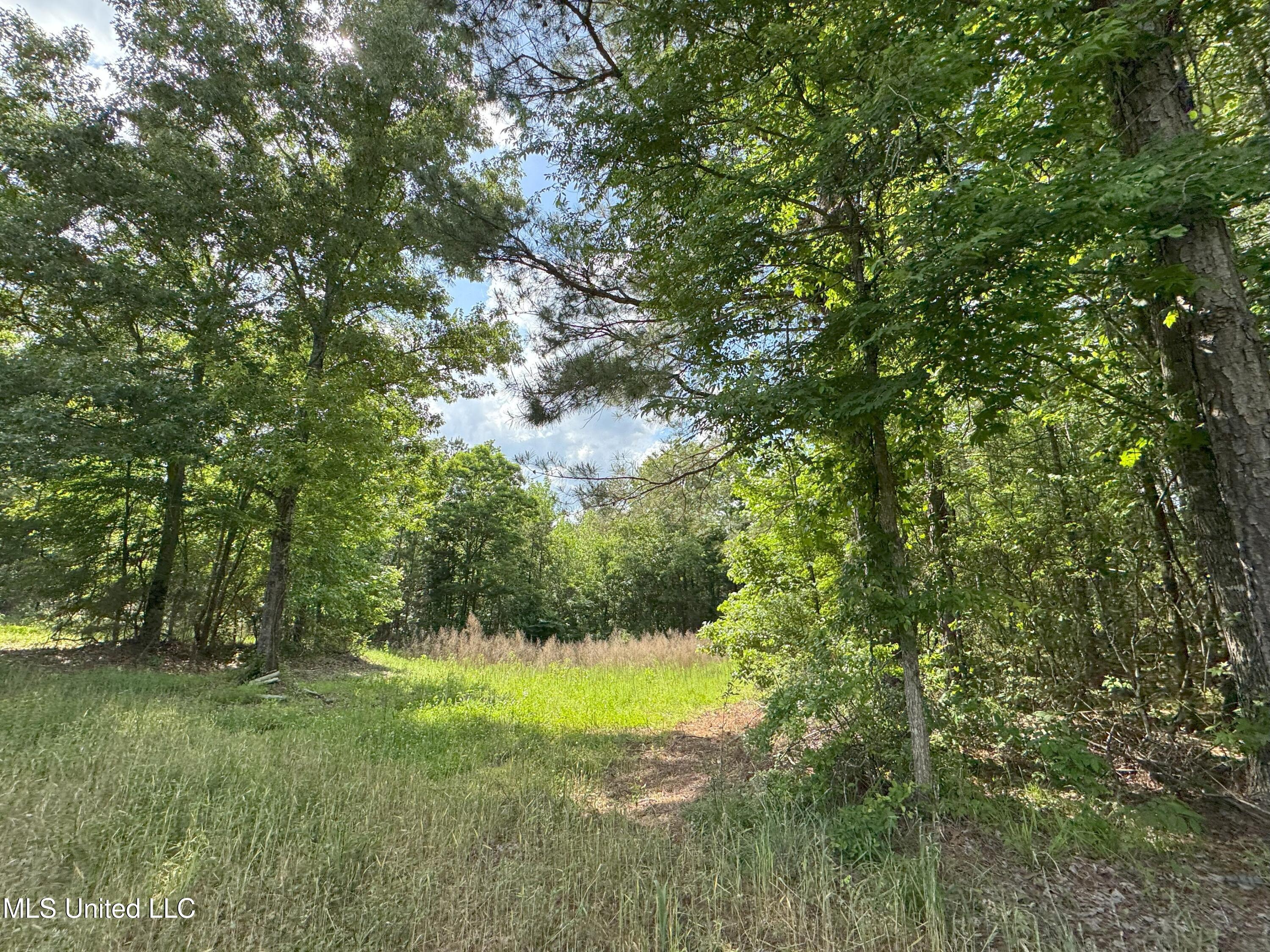 485 Sweet Home Road