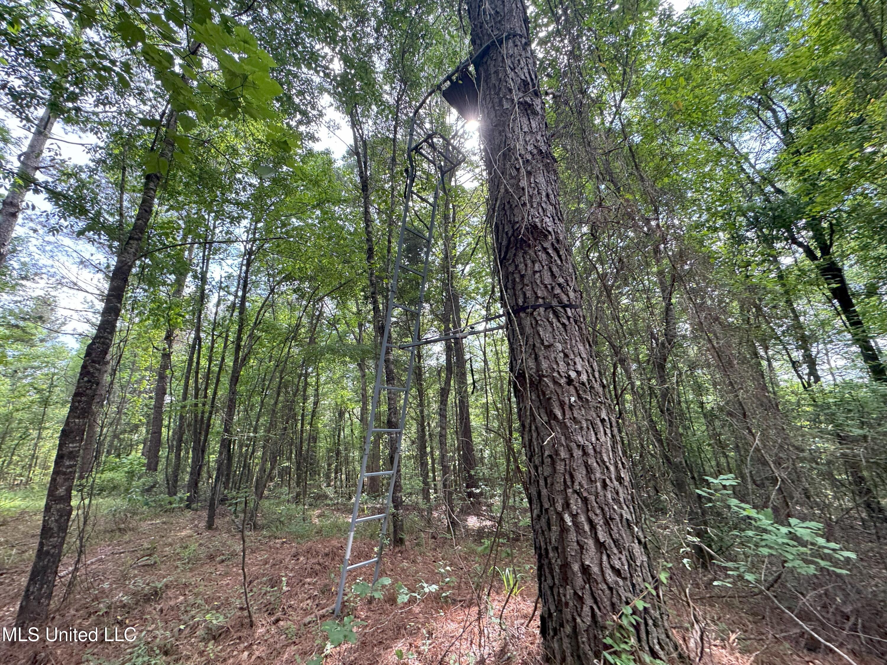 485 Sweet Home Road