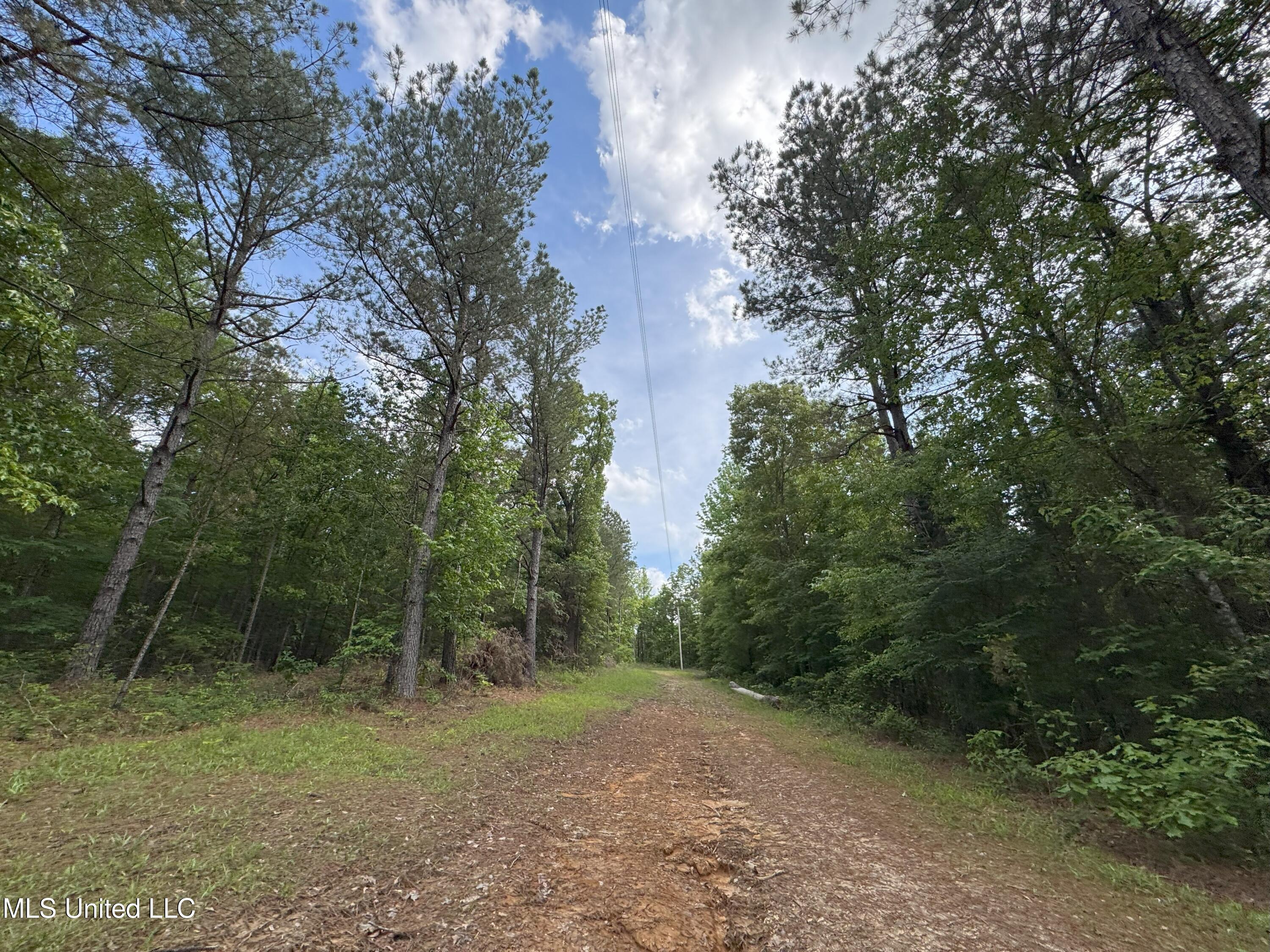 485 Sweet Home Road