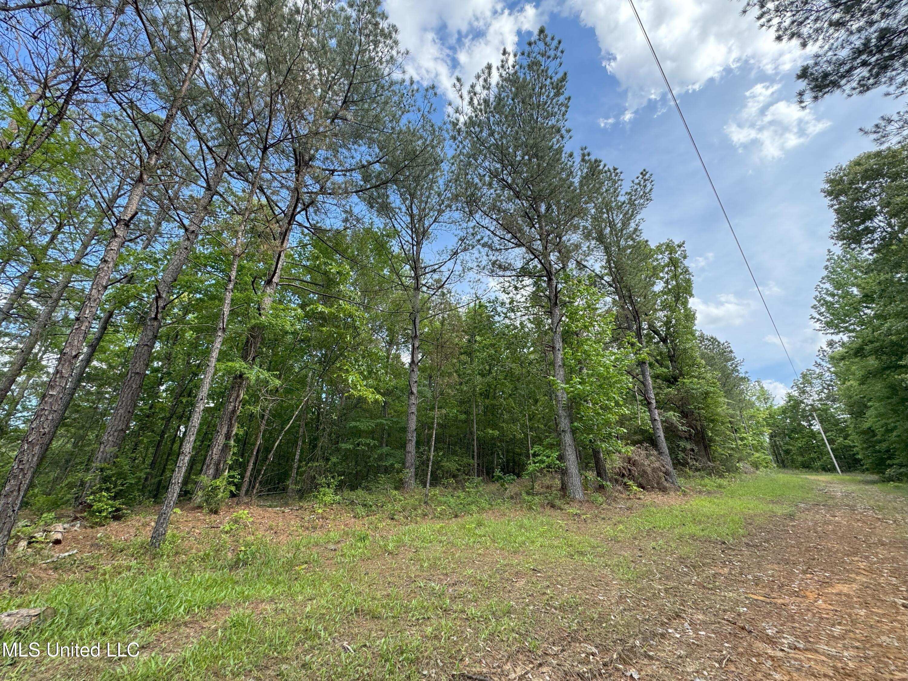 485 Sweet Home Road