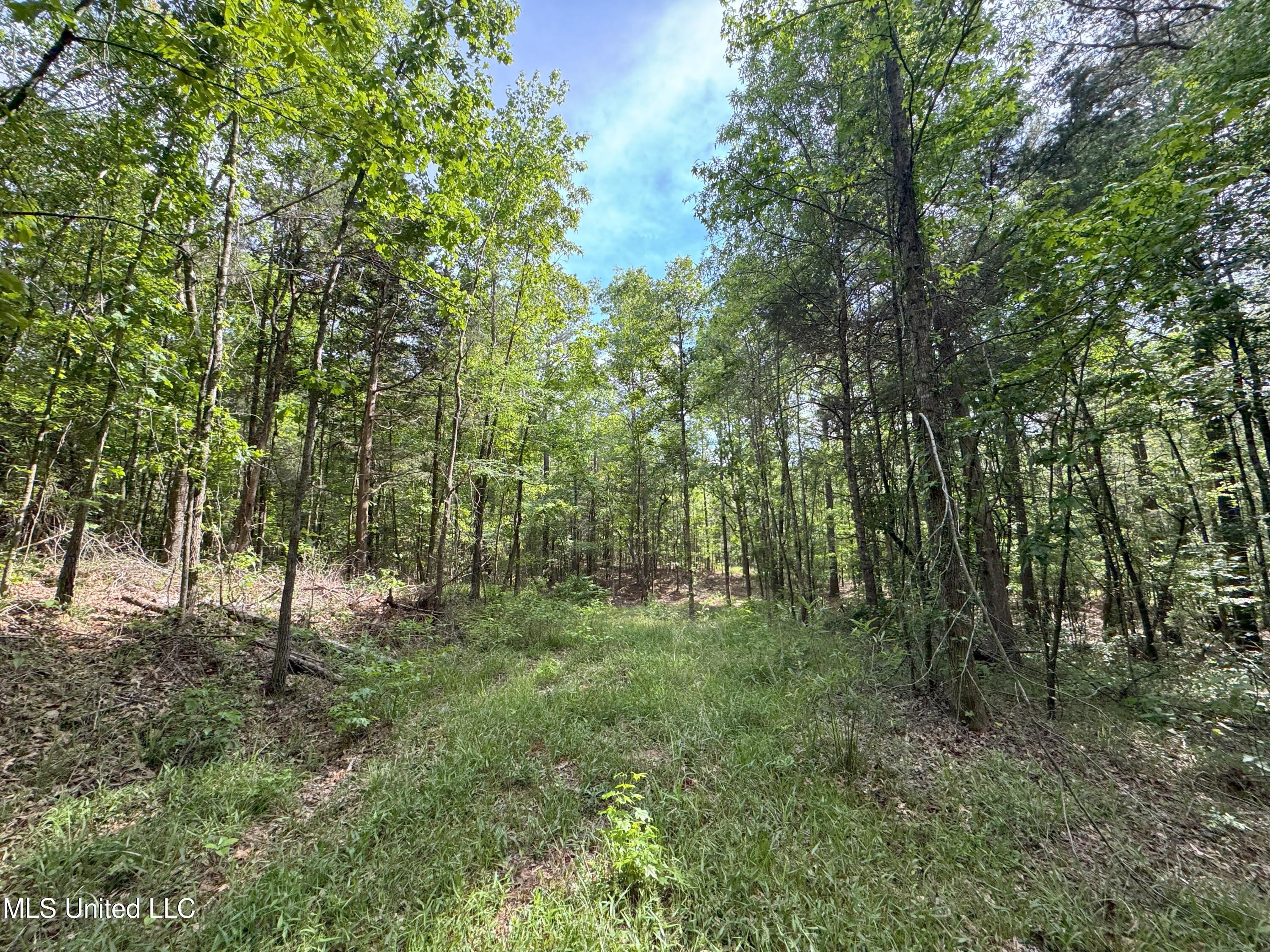 485 Sweet Home Road