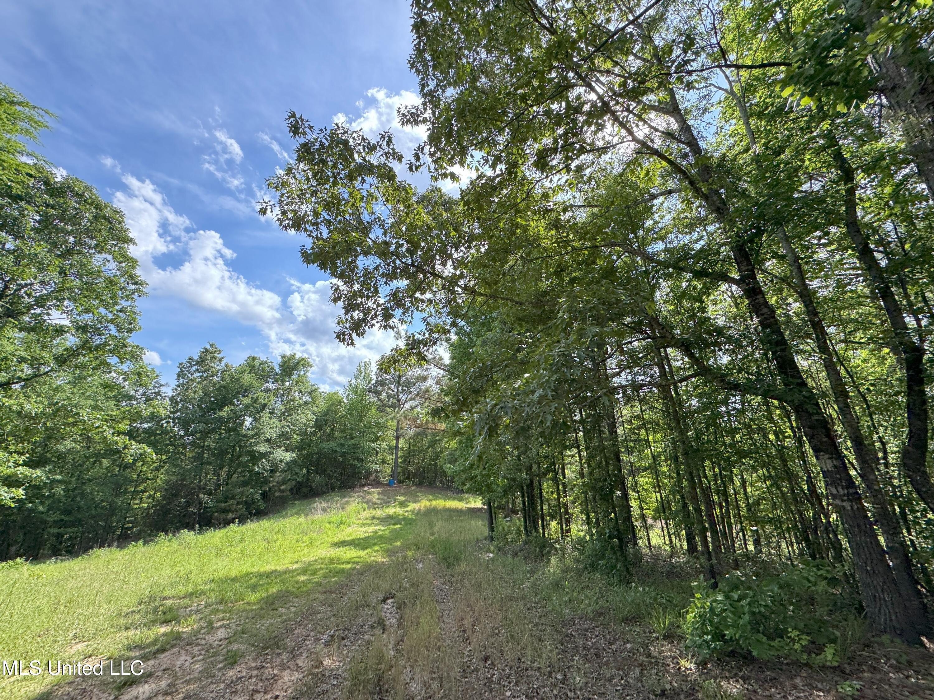 485 Sweet Home Road