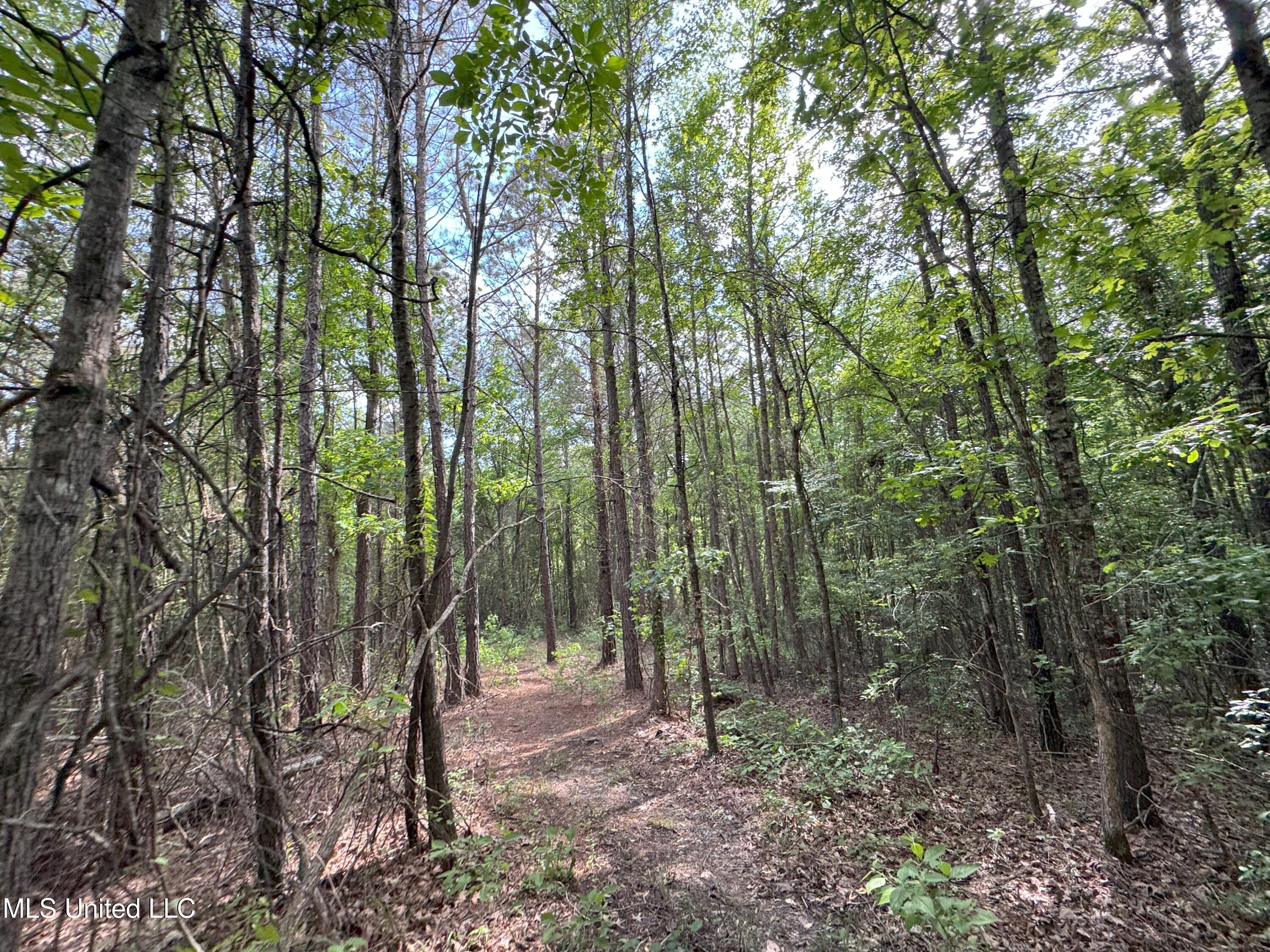485 Sweet Home Road