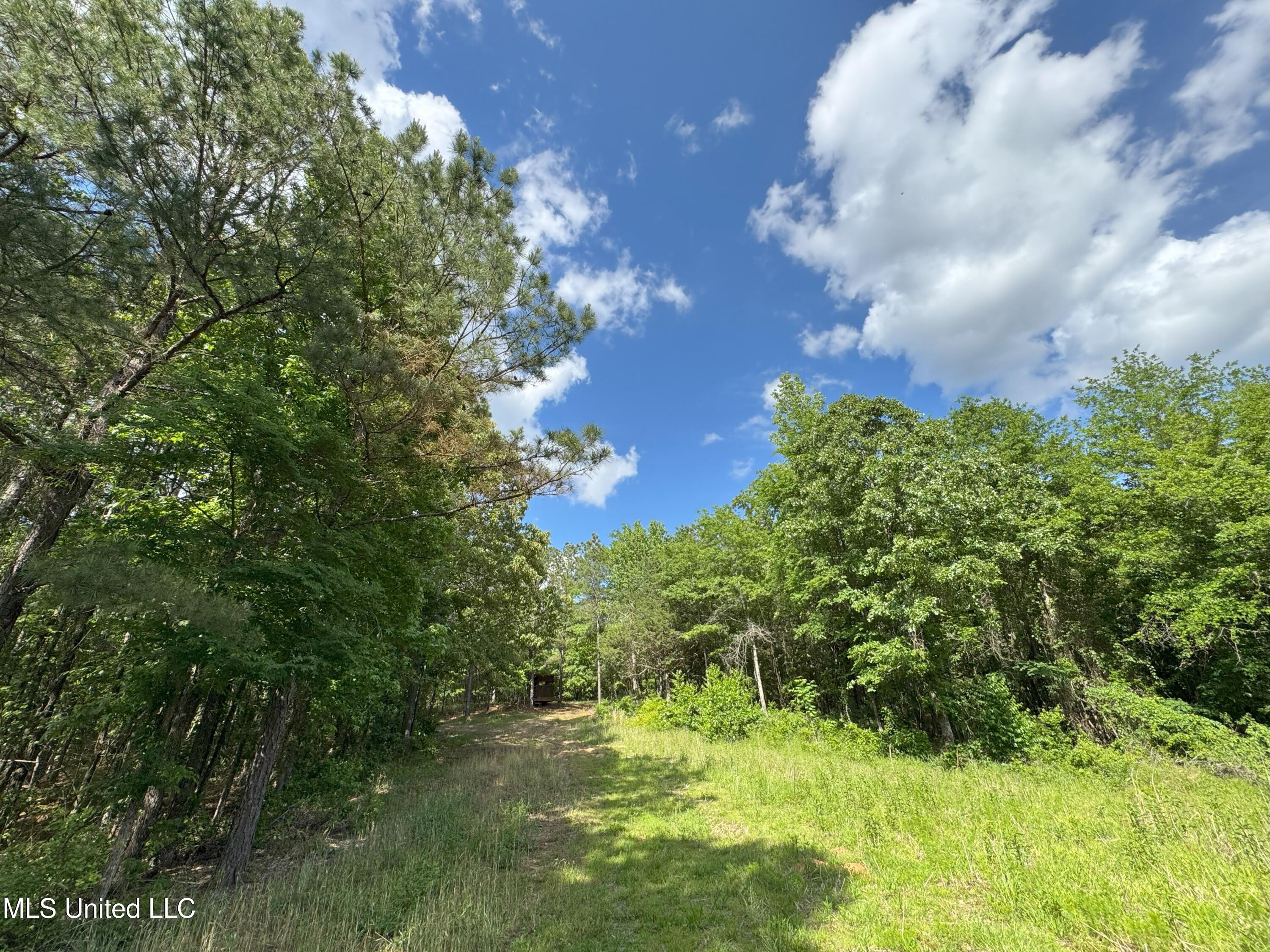 485 Sweet Home Road