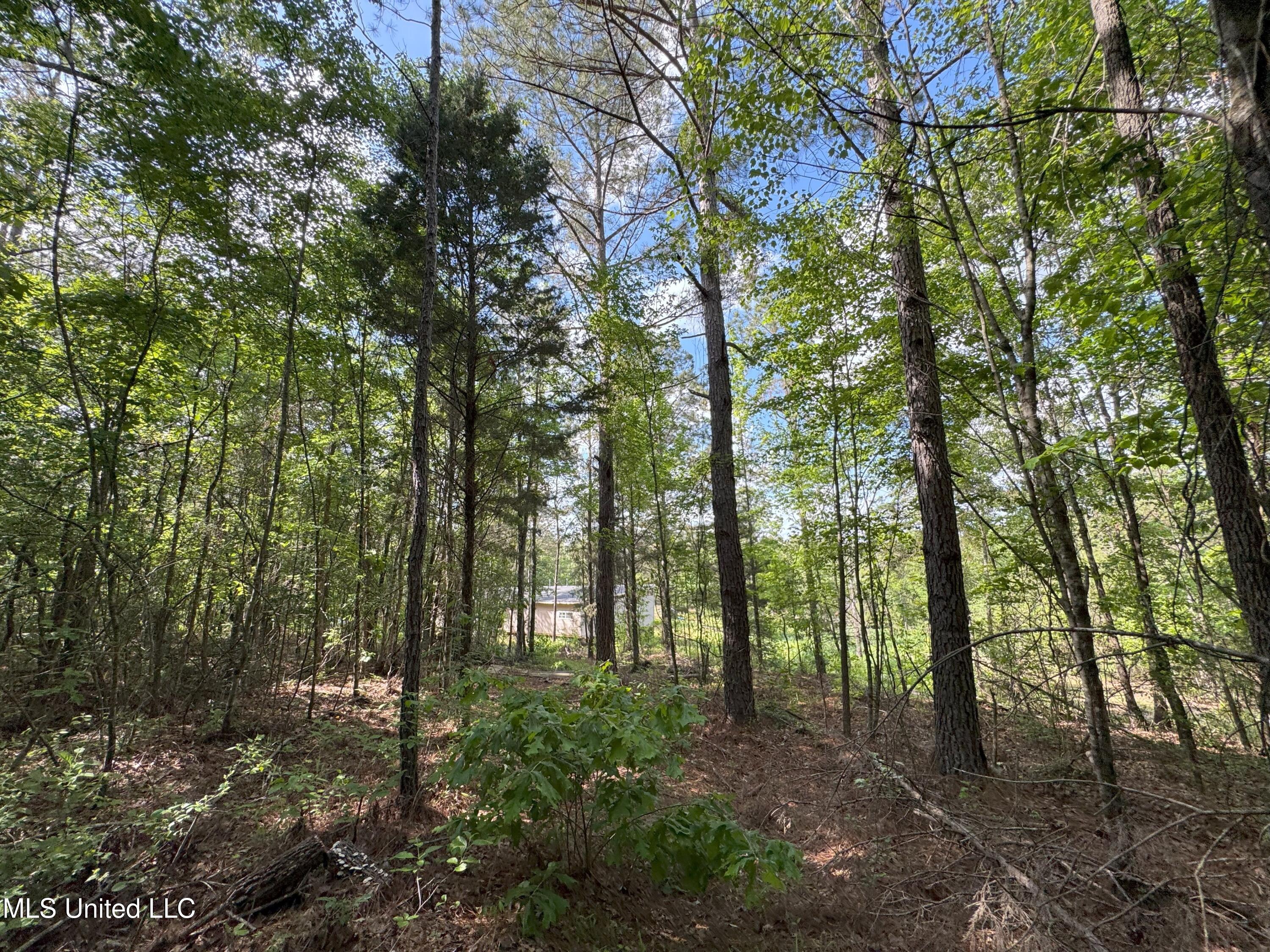 485 Sweet Home Road