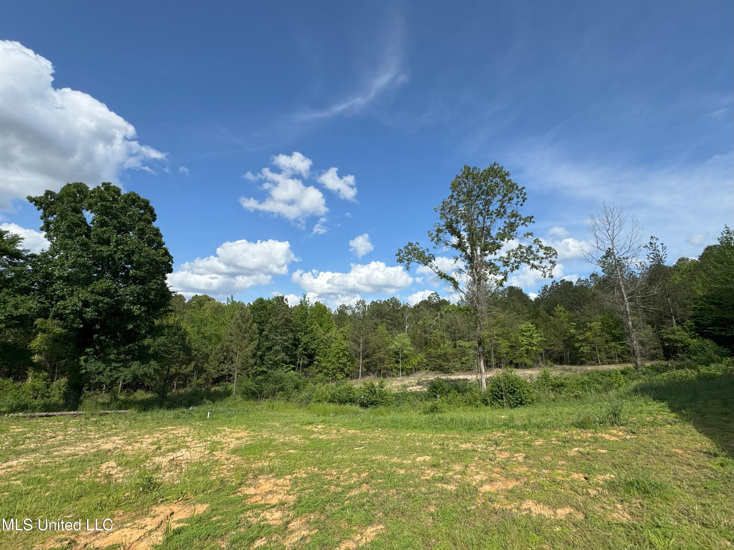 485 Sweet Home Road