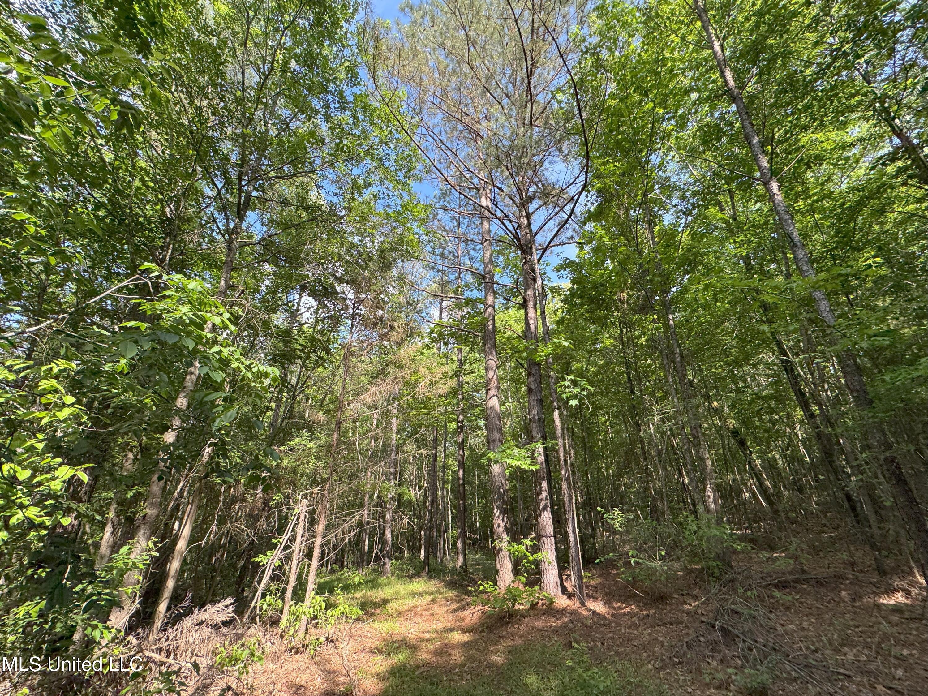 485 Sweet Home Road