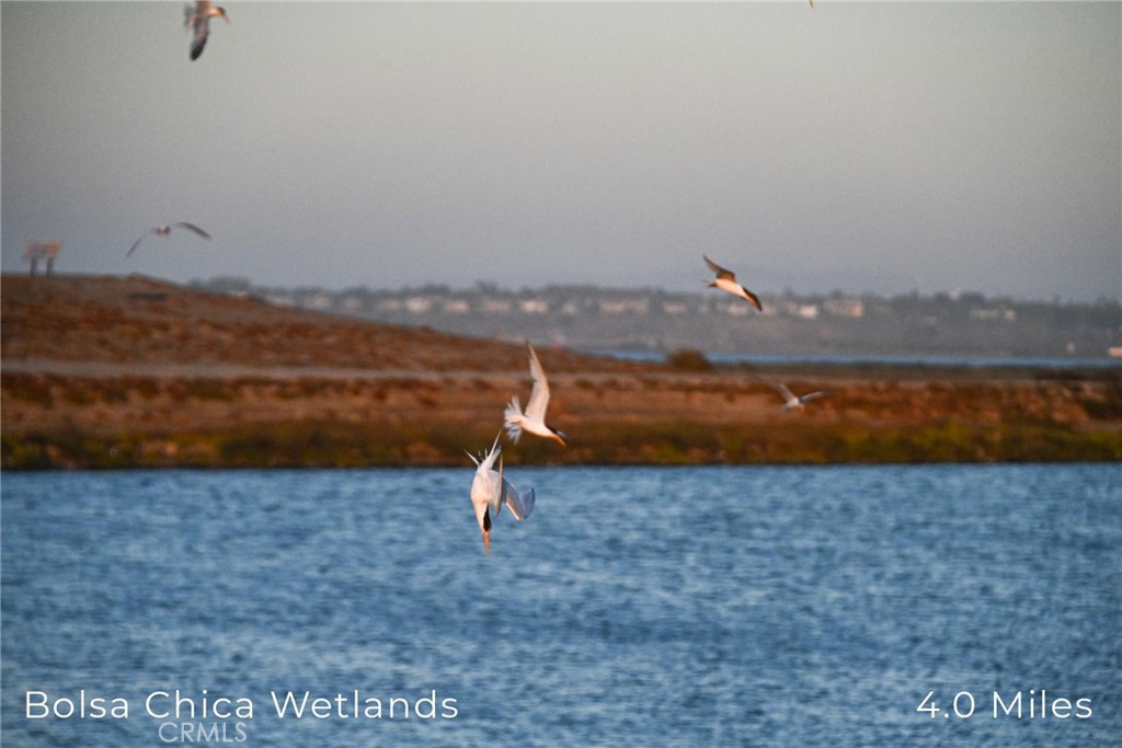 116 Goldenwest Street