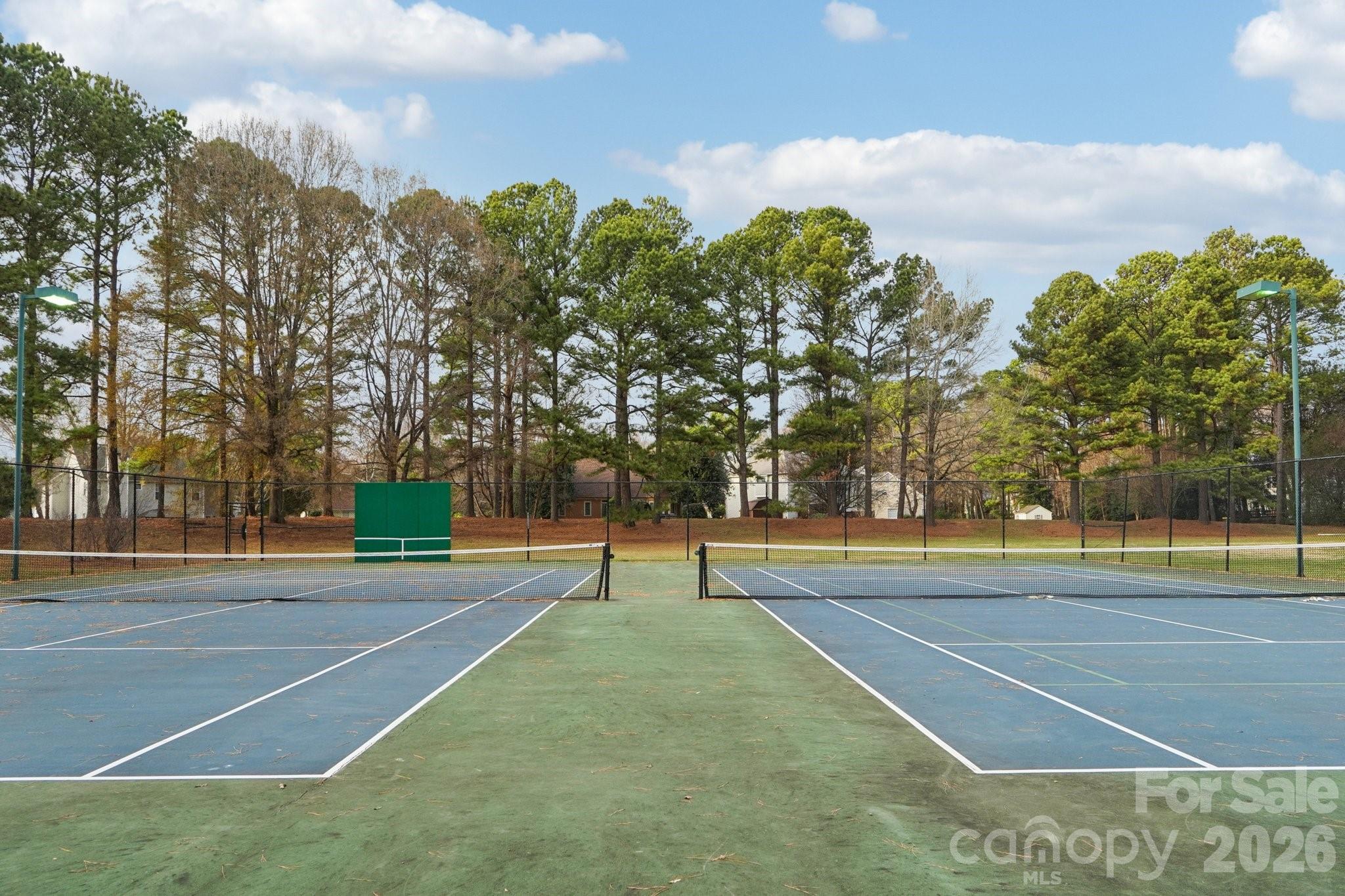 8426 Red Cypress Court