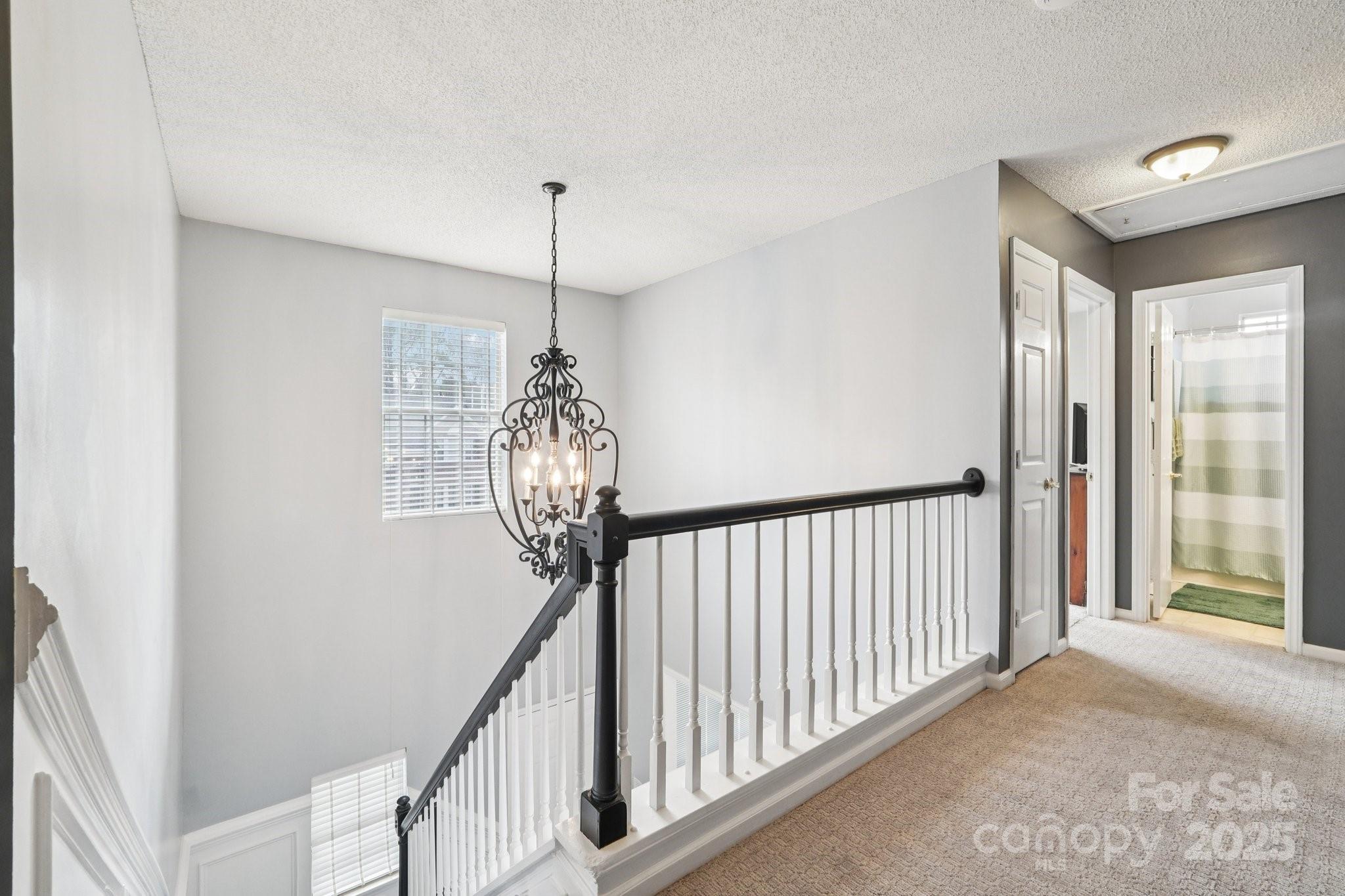 8426 Red Cypress Court