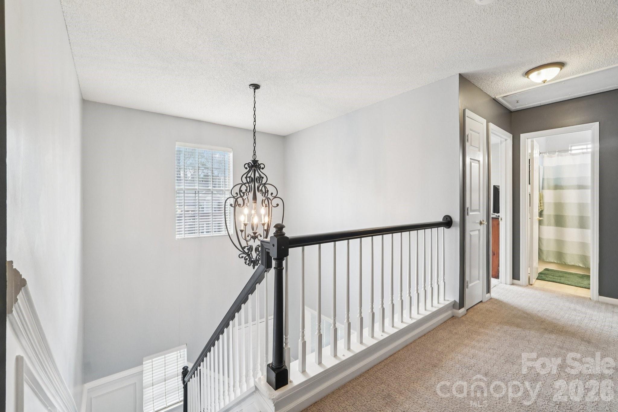 8426 Red Cypress Court