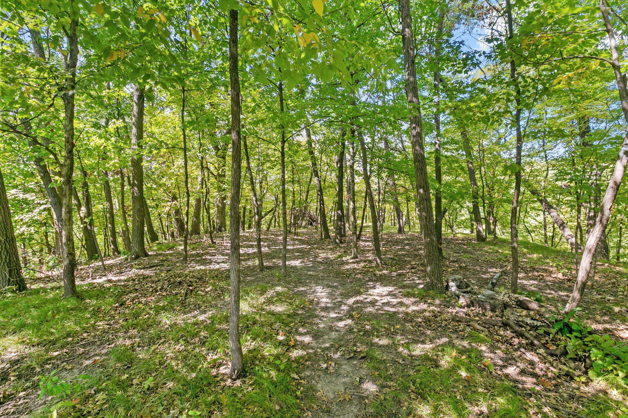 157 W Glencrest Drive