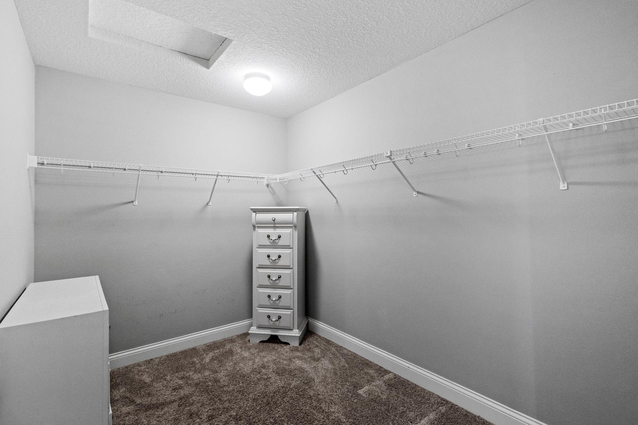 Walk-in closet with wire shelving, a narrow drawer chest, and carpeted floor.