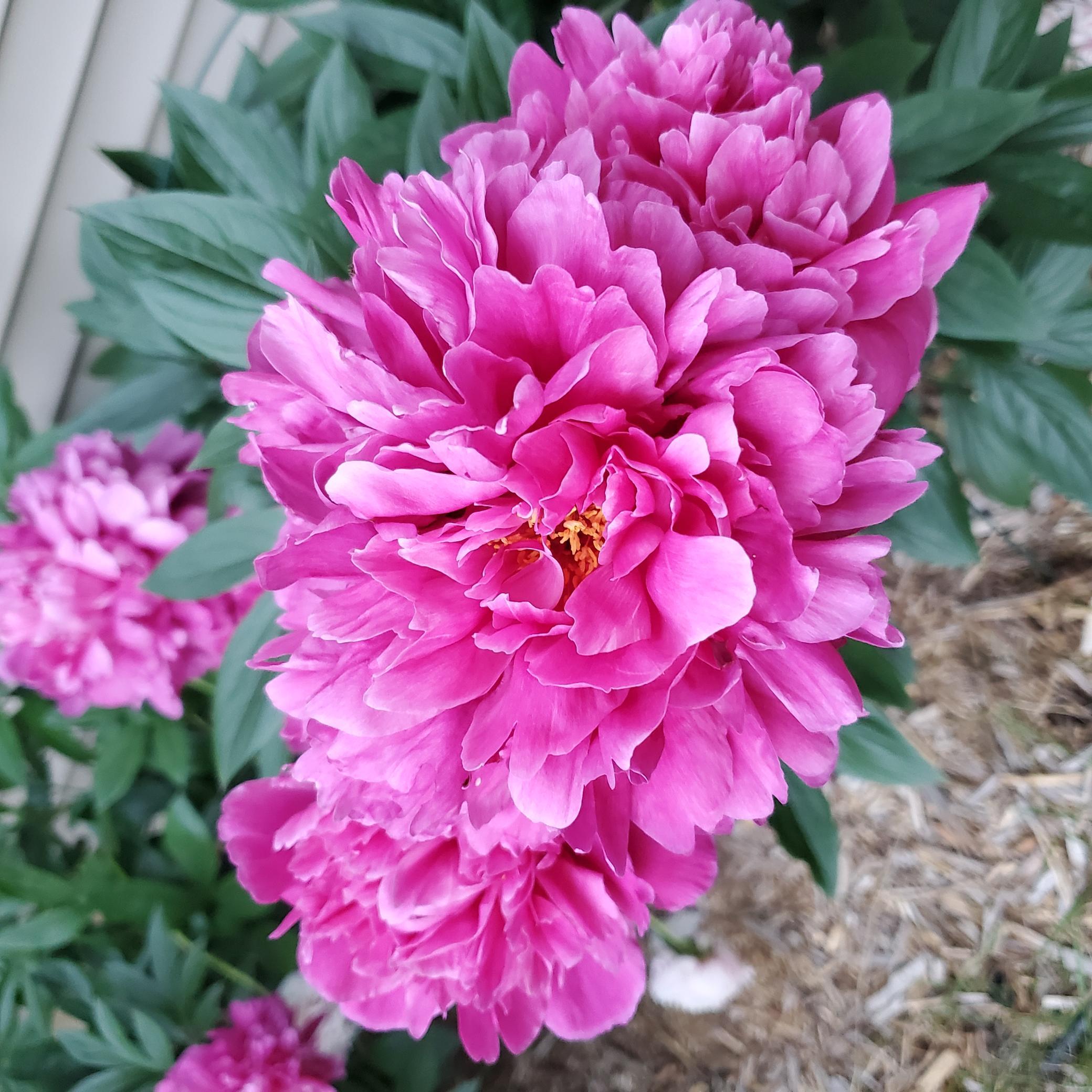 26901 Meadow Ridge Drive