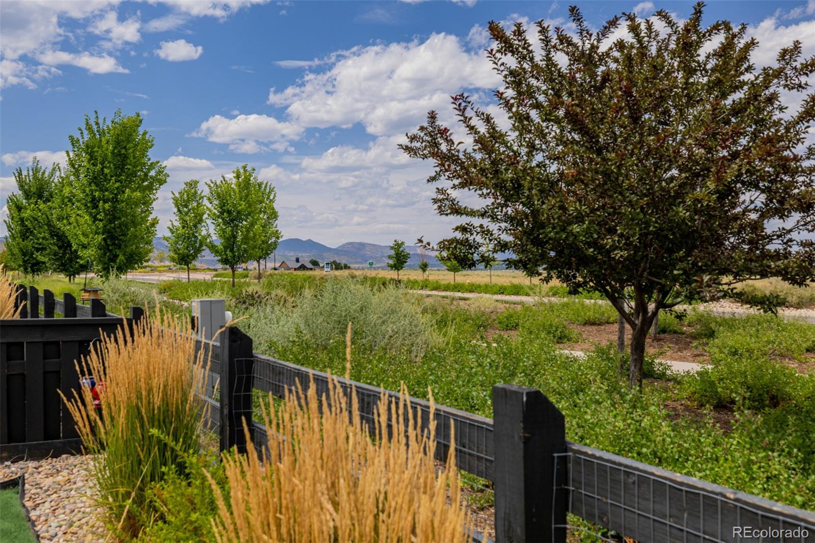 8785 Moonshimmer Trail