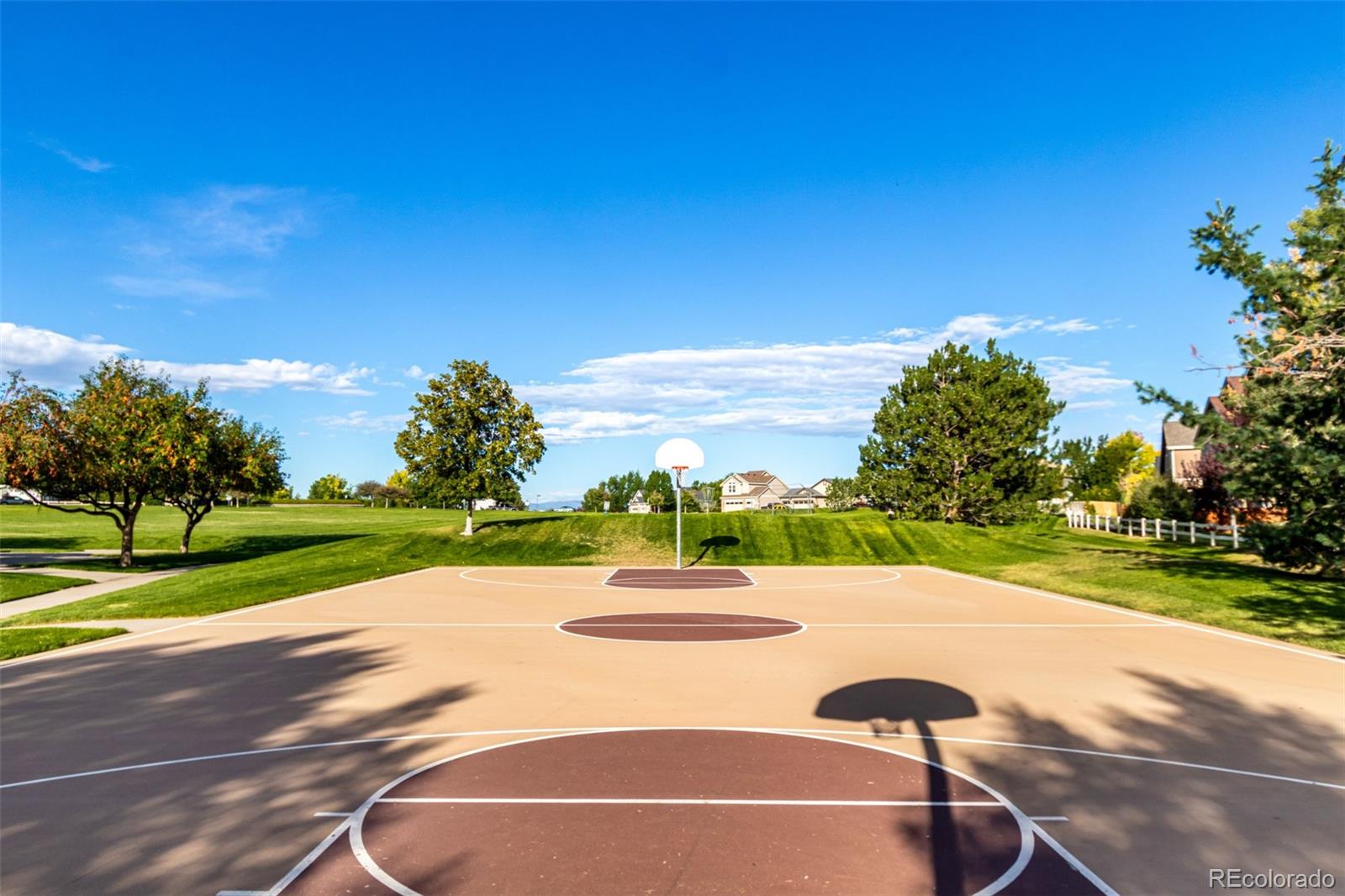 8463 Bed Straw Street