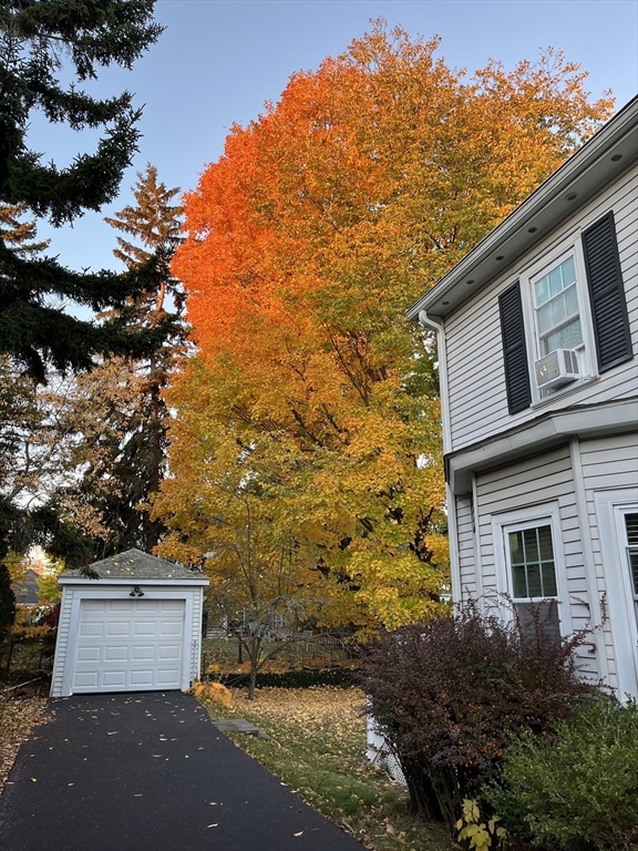 9 Larchmont Rd