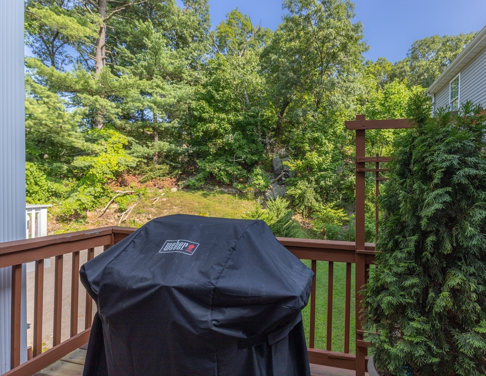 52 Packards Ln # 4