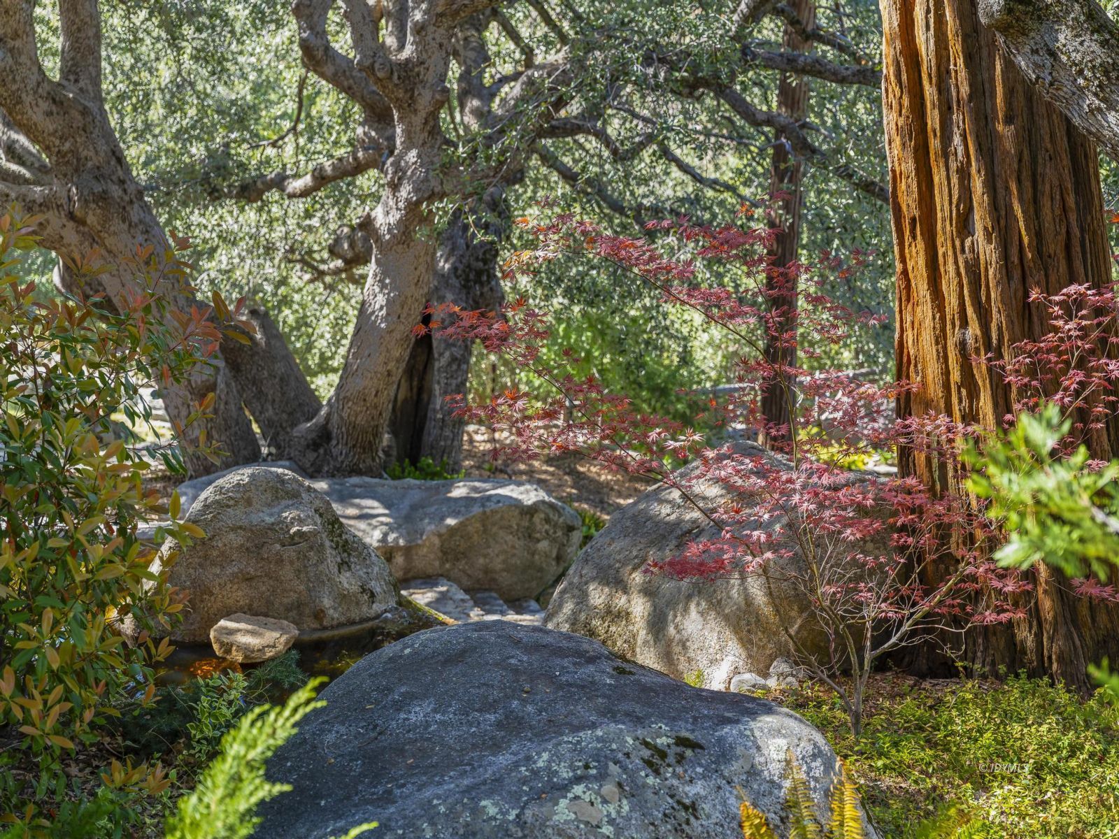 53241 Middle Ridge Dr