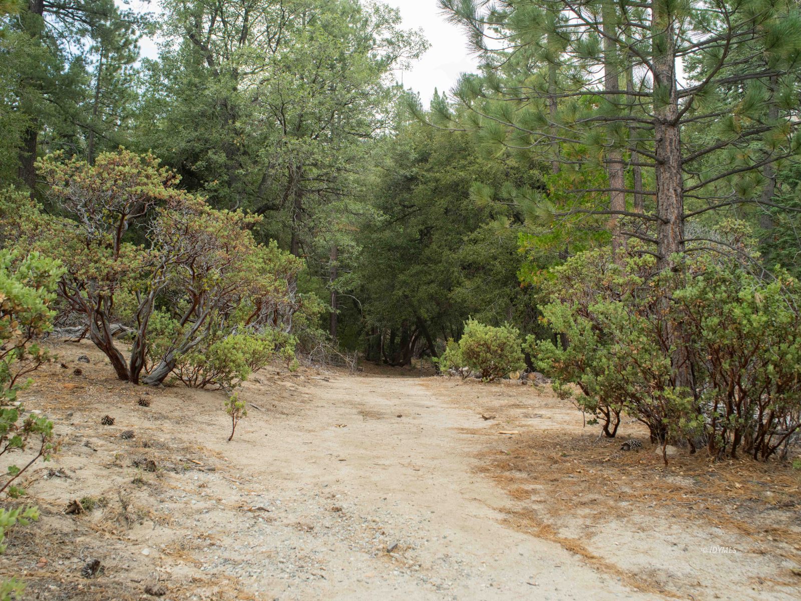 22928 State Highway 243