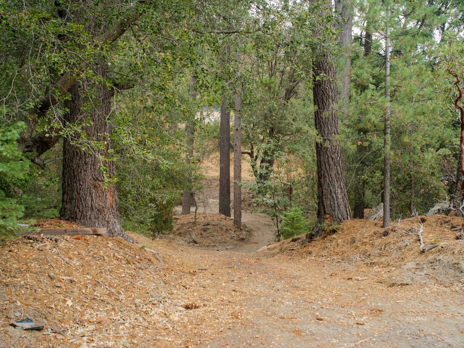 22928 State Highway 243